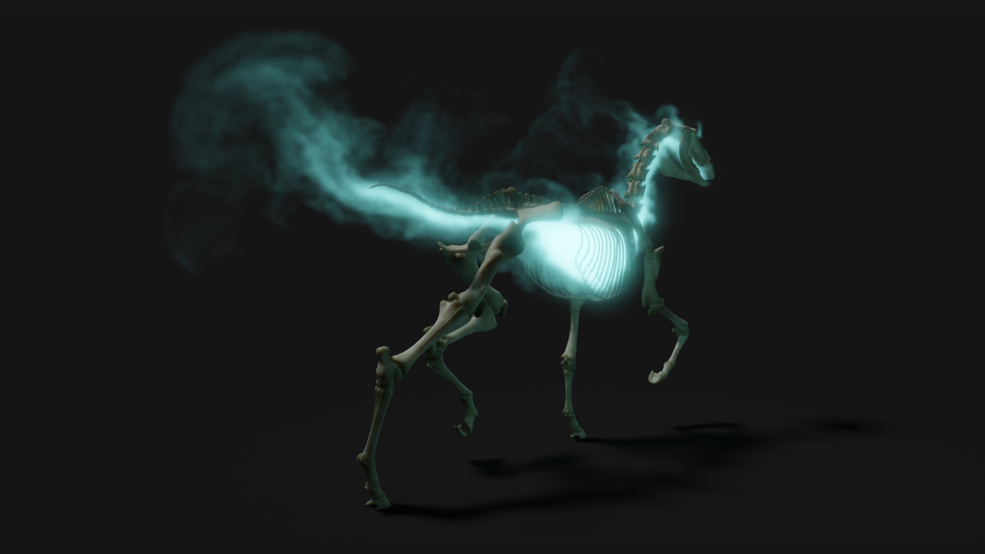 Realistic Horse Skeleton WIP JL