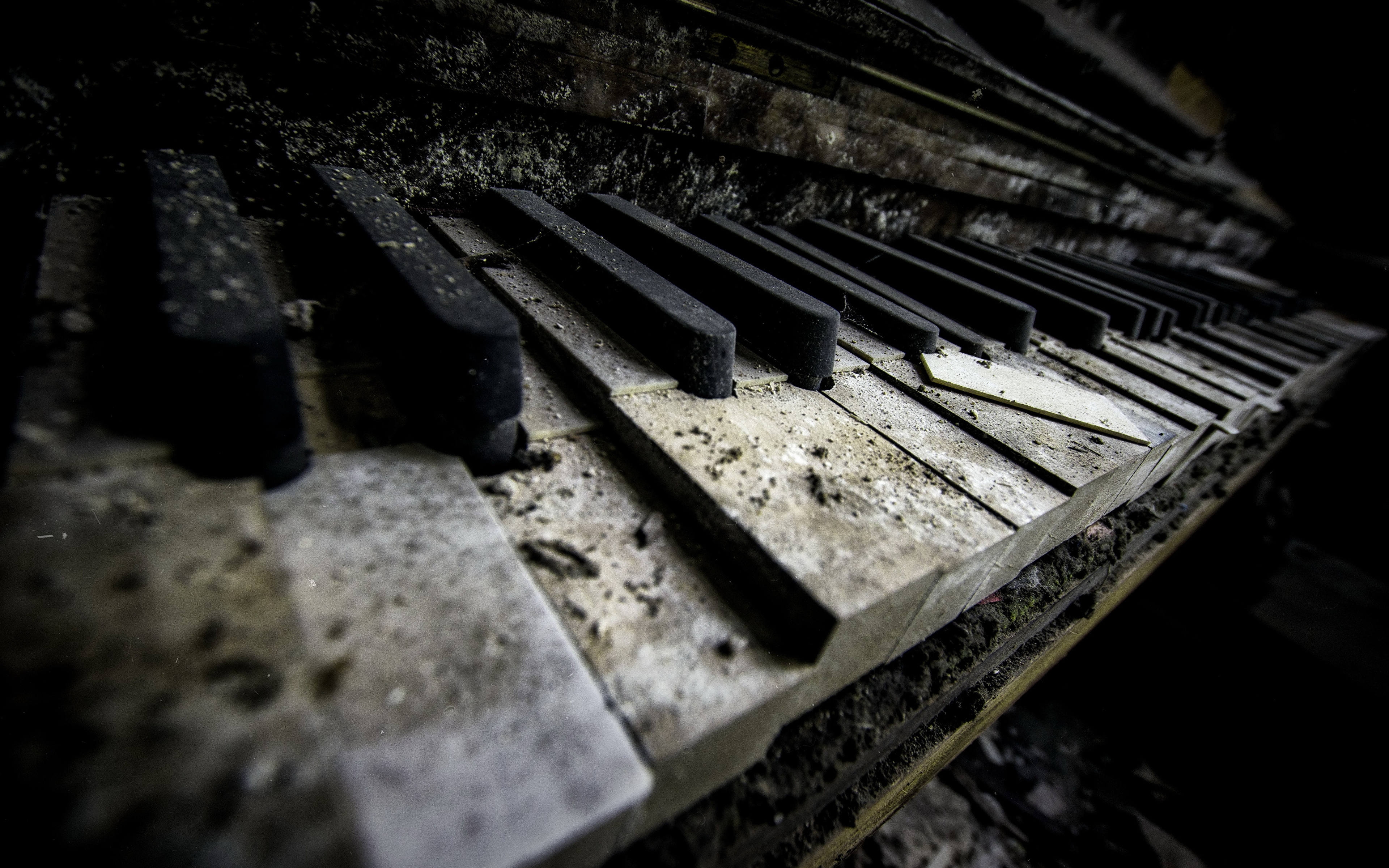 Desktop Wallpaper Piano Macro Old