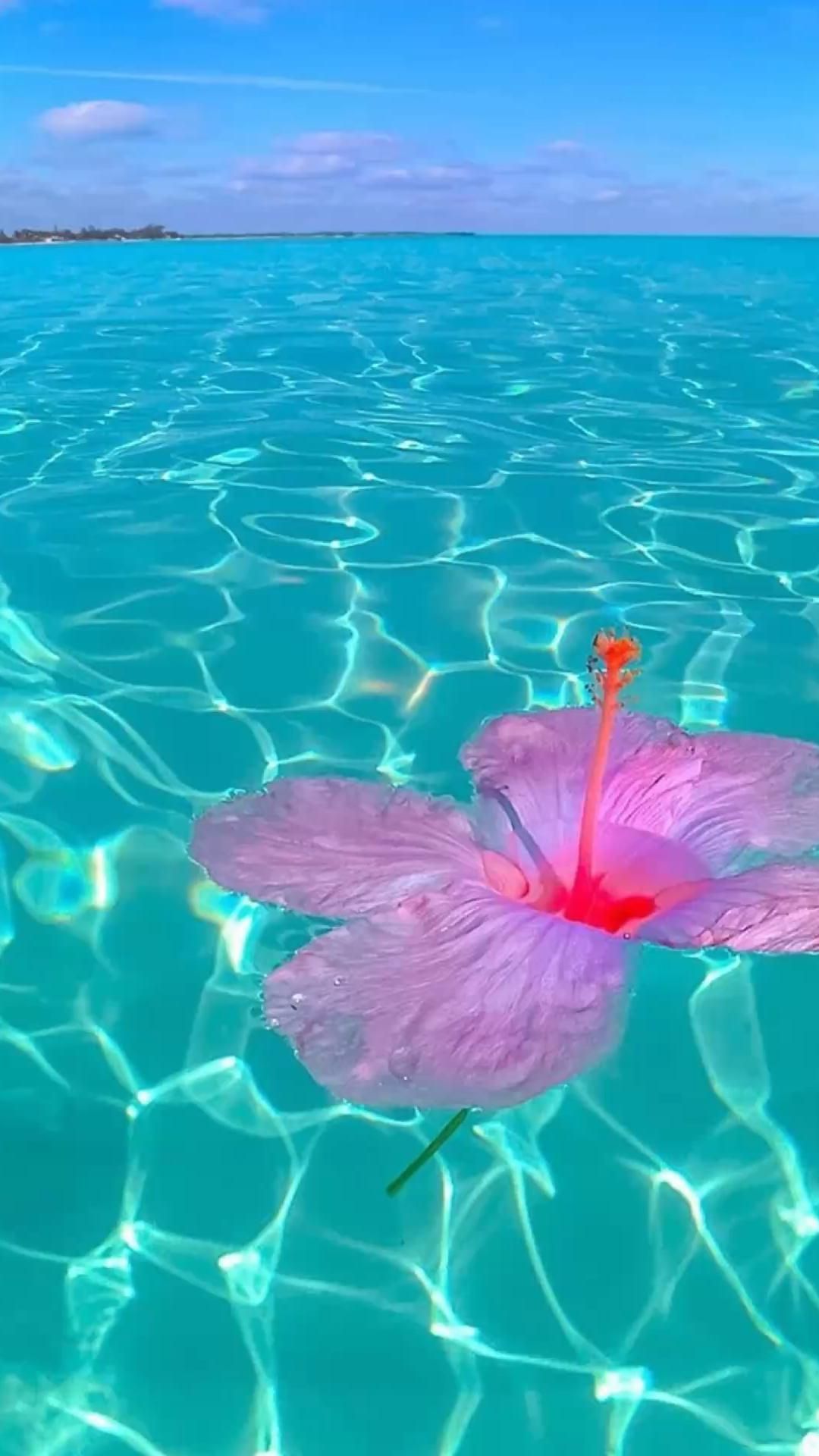 Preppy Sea Aesthetic Wallpaper