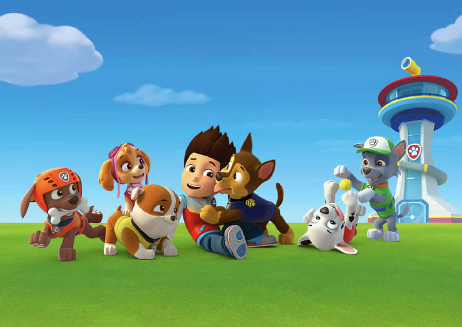 Paw Patrol Picture