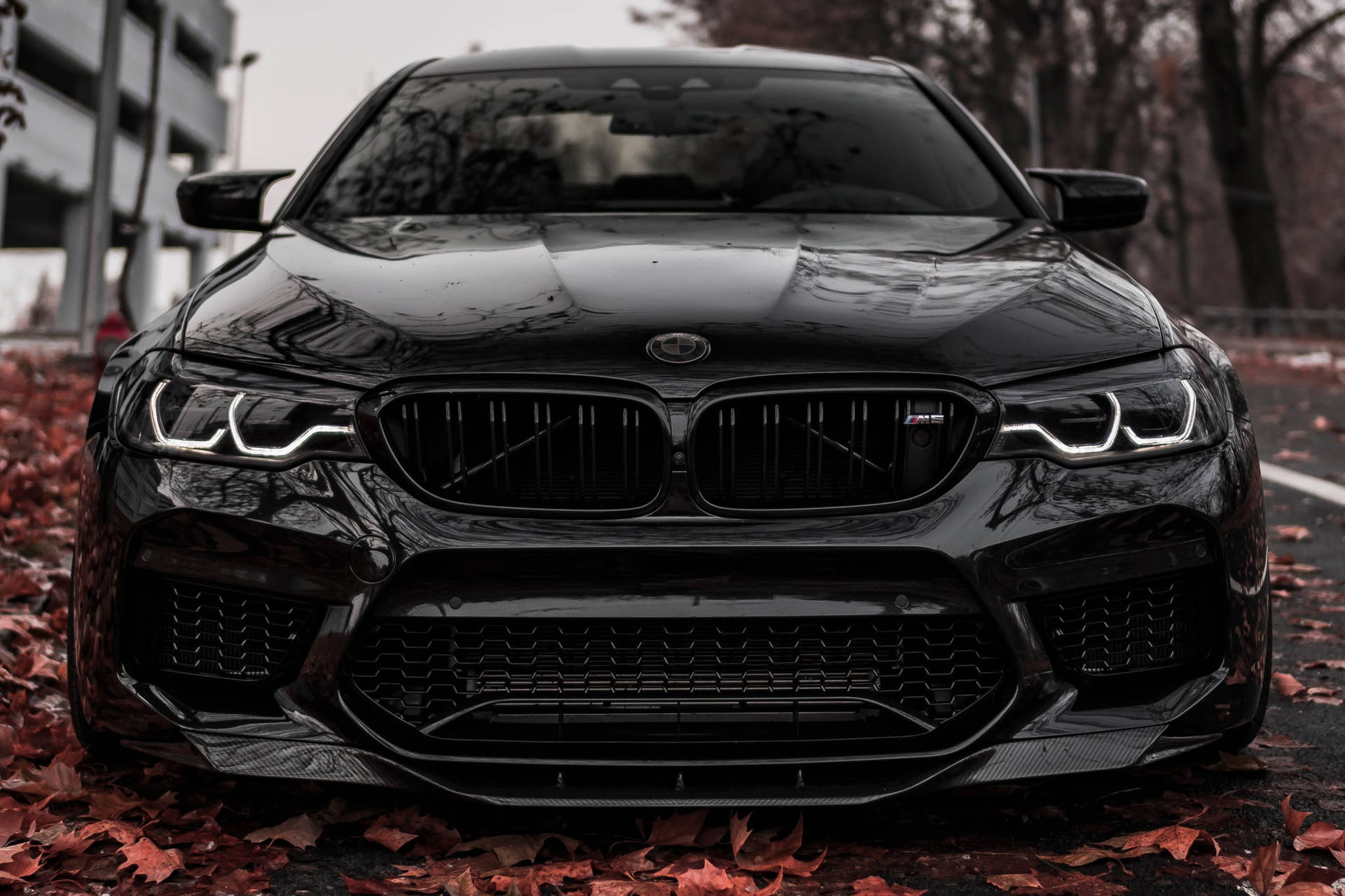 Shiny Black M5 BMW Laptop Wallpaper