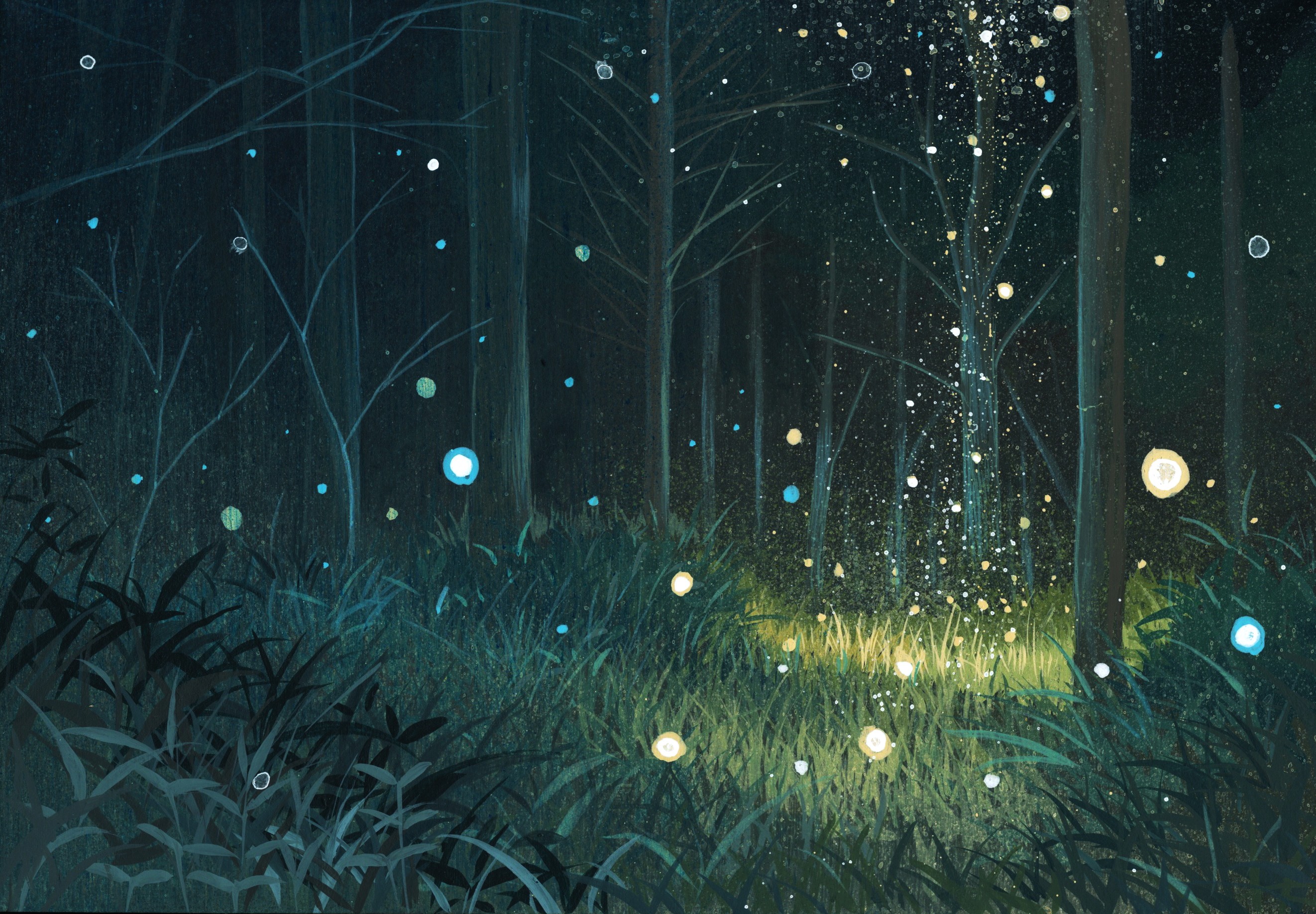 Forest Grass Magic Nature Plant Tree