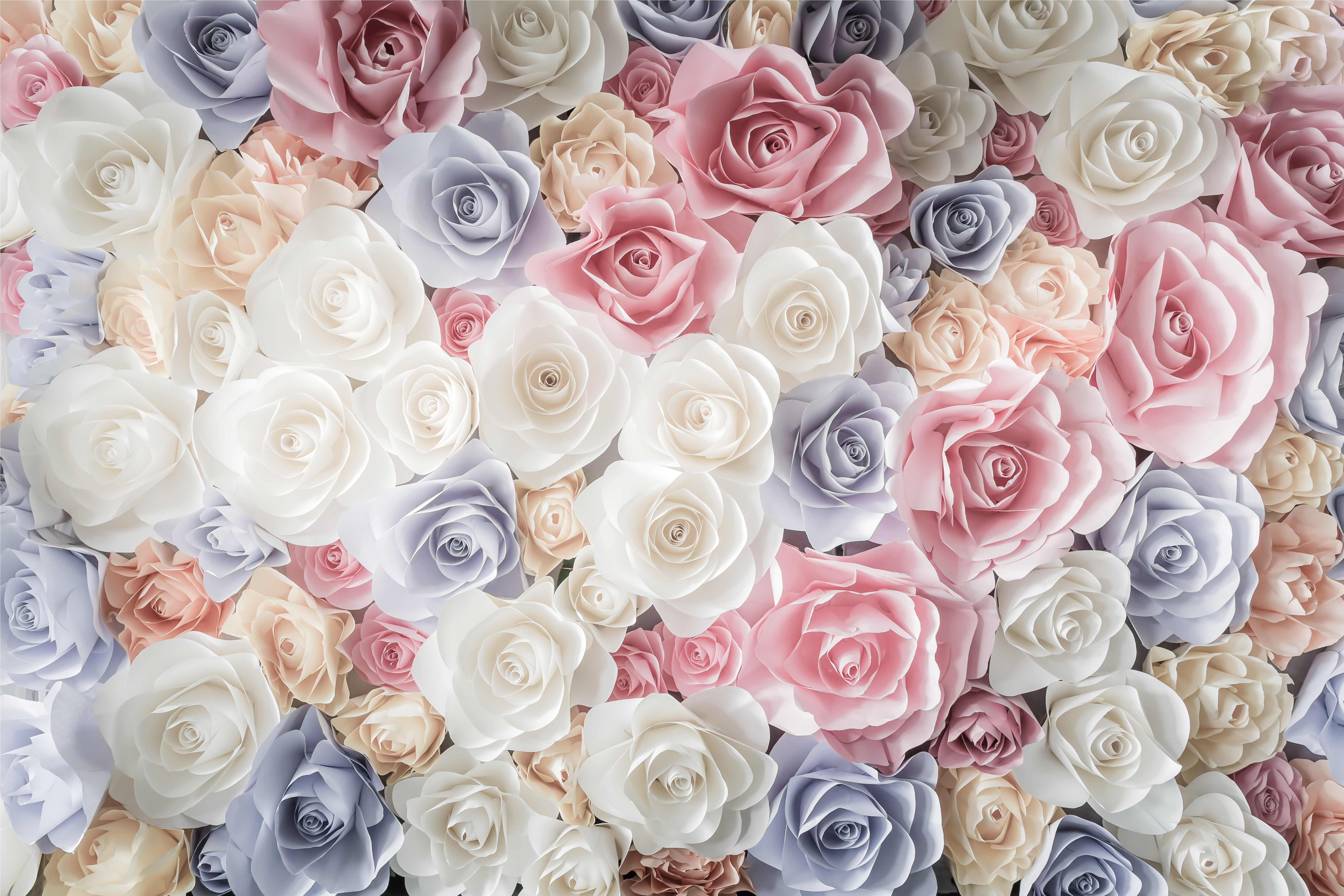 Pastel Roses