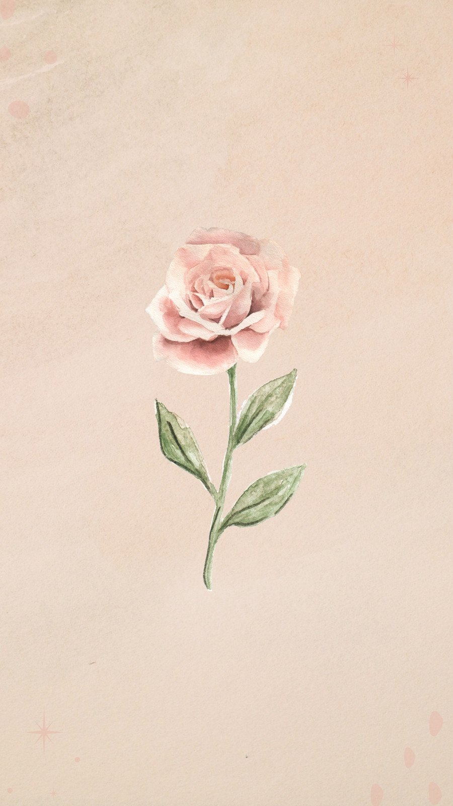 rose background