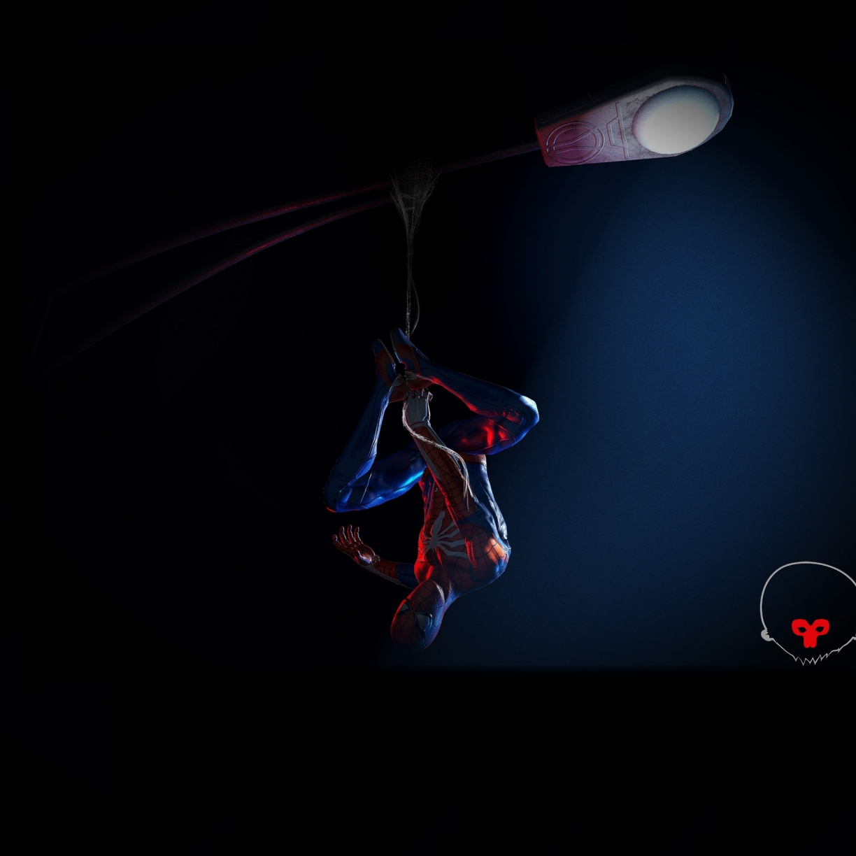 Wallpaper hanging, spider man, nightout