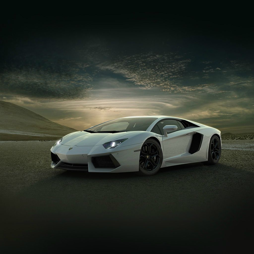 Lamborghini Car Exotic White Art iPad