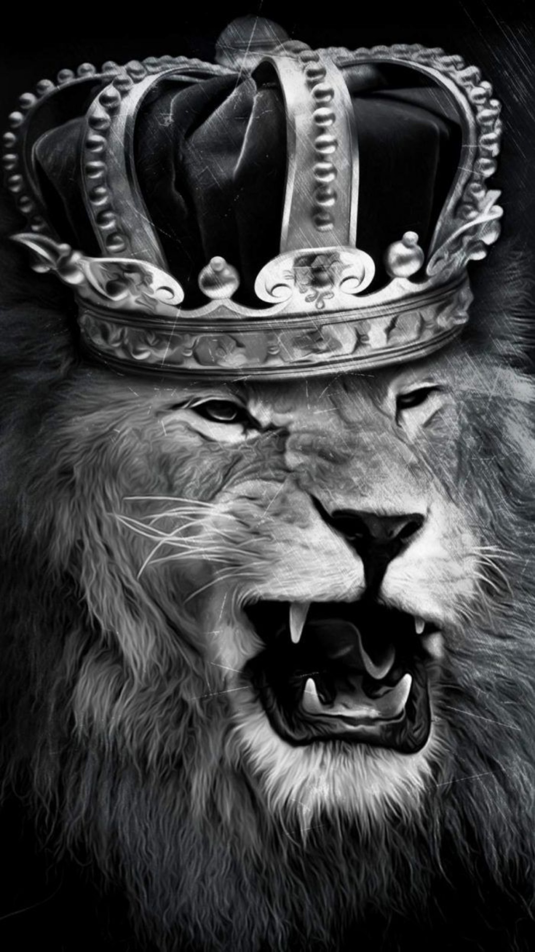 Best Lion iPhone Wallpaper Download
