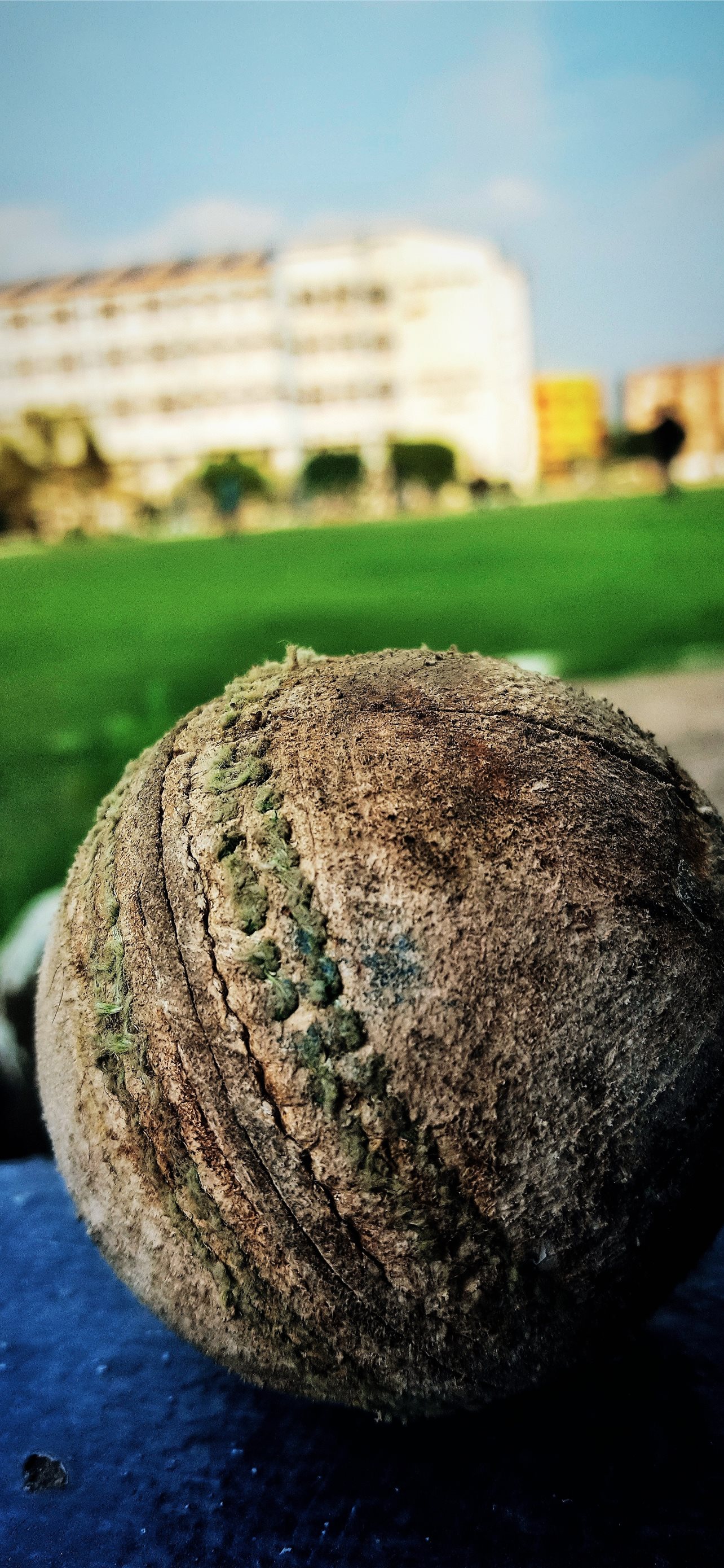 Best Cricket iPhone HD Wallpaper