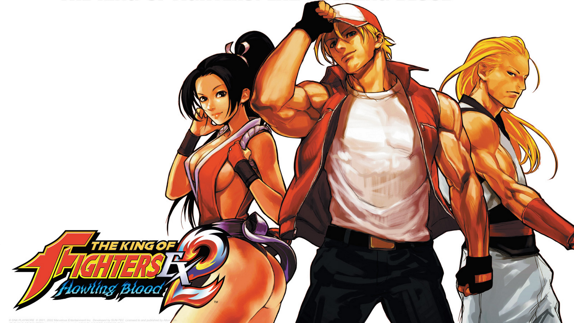 Mai Shiranui, Terry Bogard, Andy Bogard