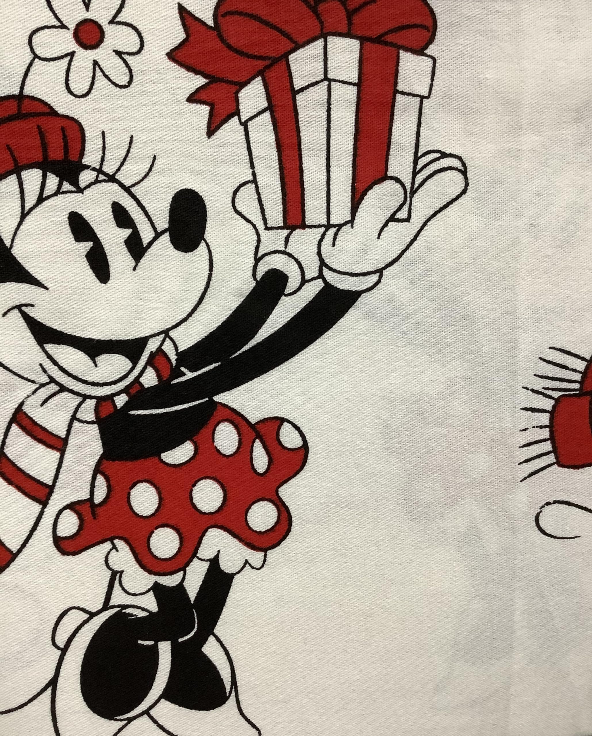 Disney Bath. Nwt Disney Mickey And Minnie Mouse Christmas Holiday Shower Curtain. Color: Green Red. Size: Os. Eat_Play_Sell's Closet