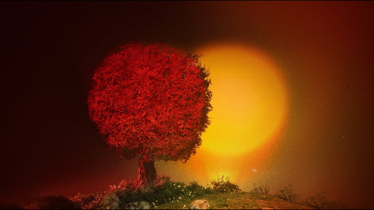 SZA Performs Debut Song “Saturn”