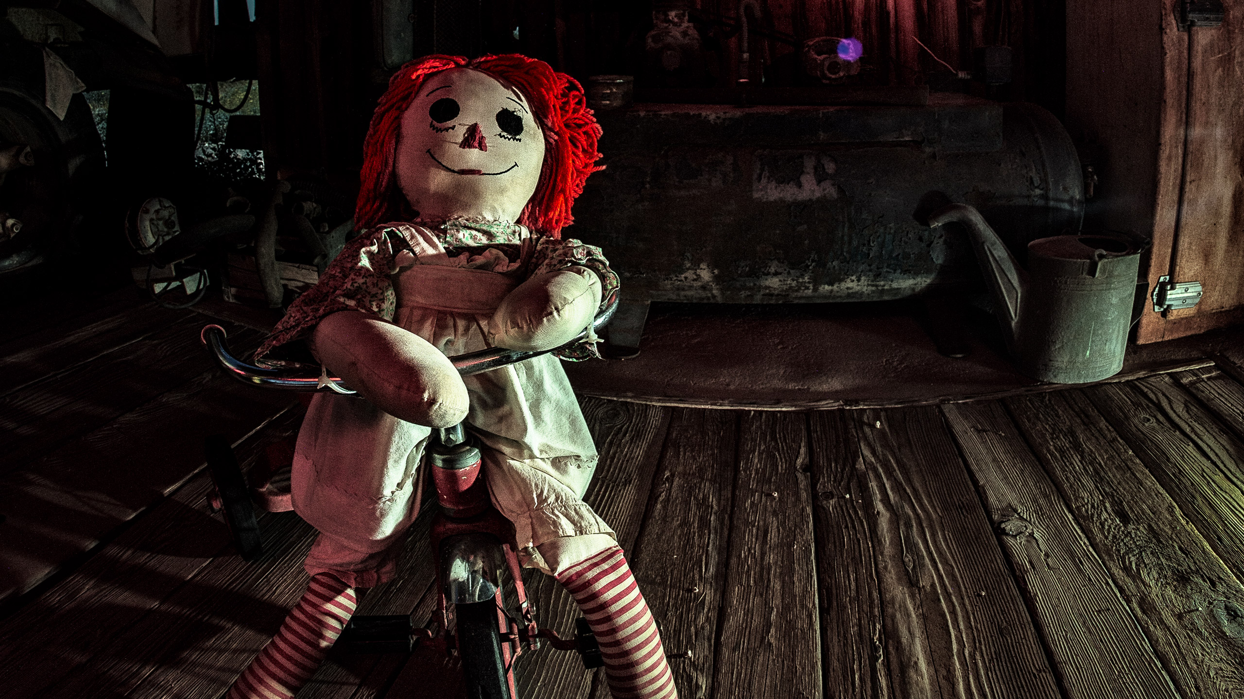 photo: Rag doll atop a tricycle
