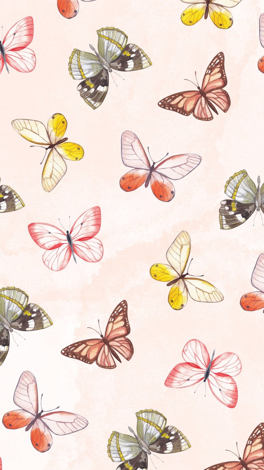 butterfly wallpaper