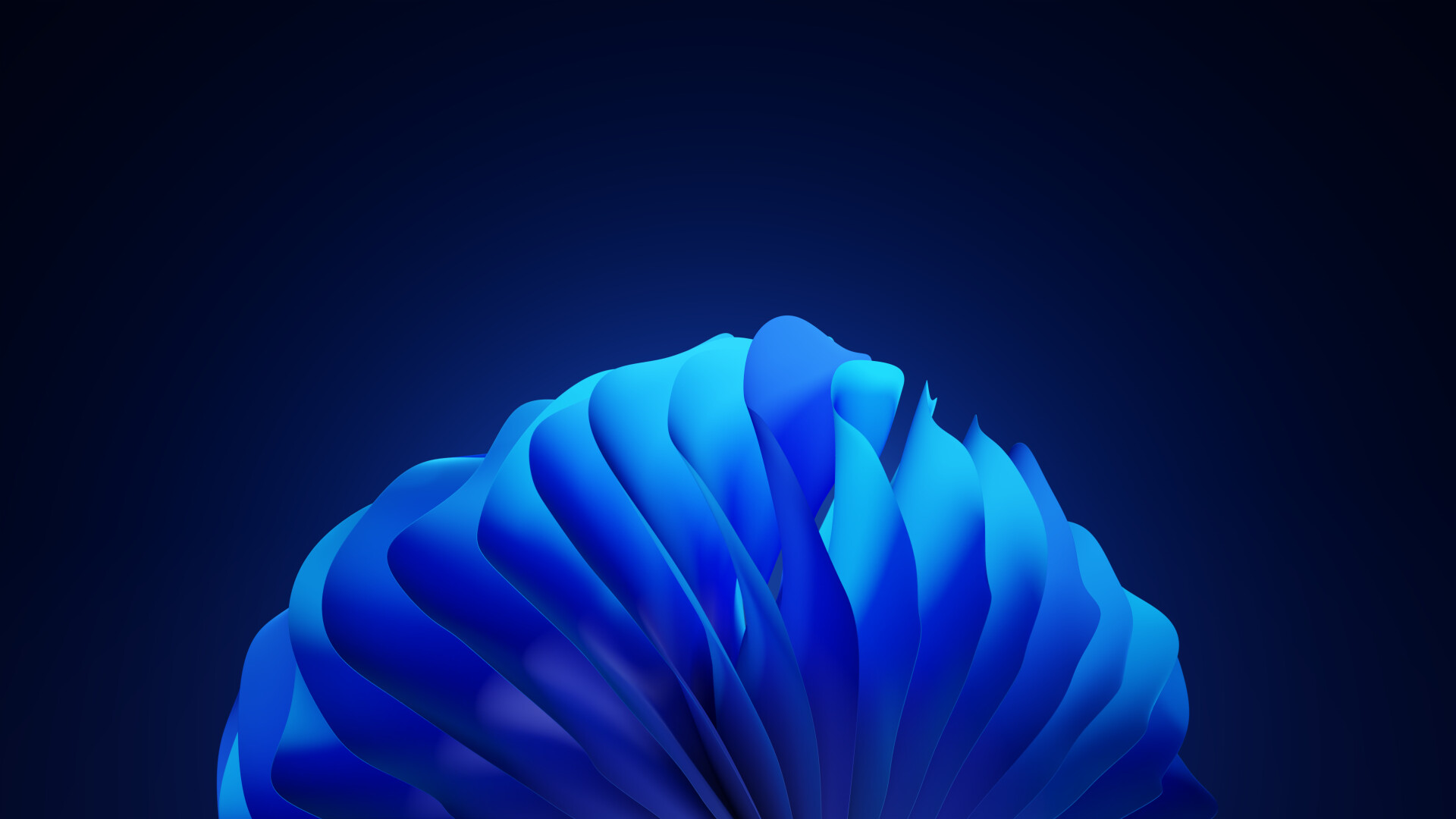 Benjamin Müller Flower Wallpaper