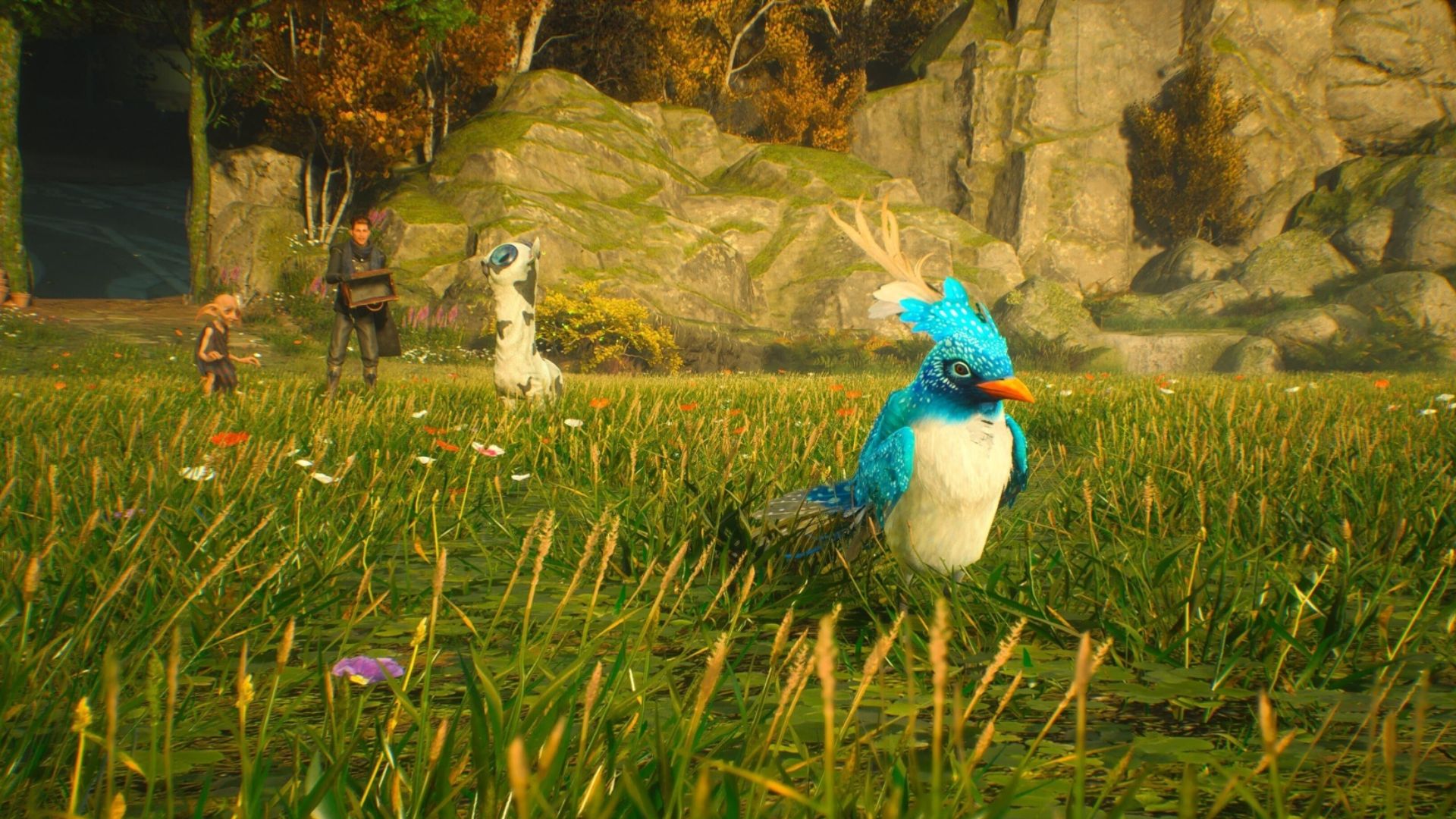 Hogwarts Legacy beasts