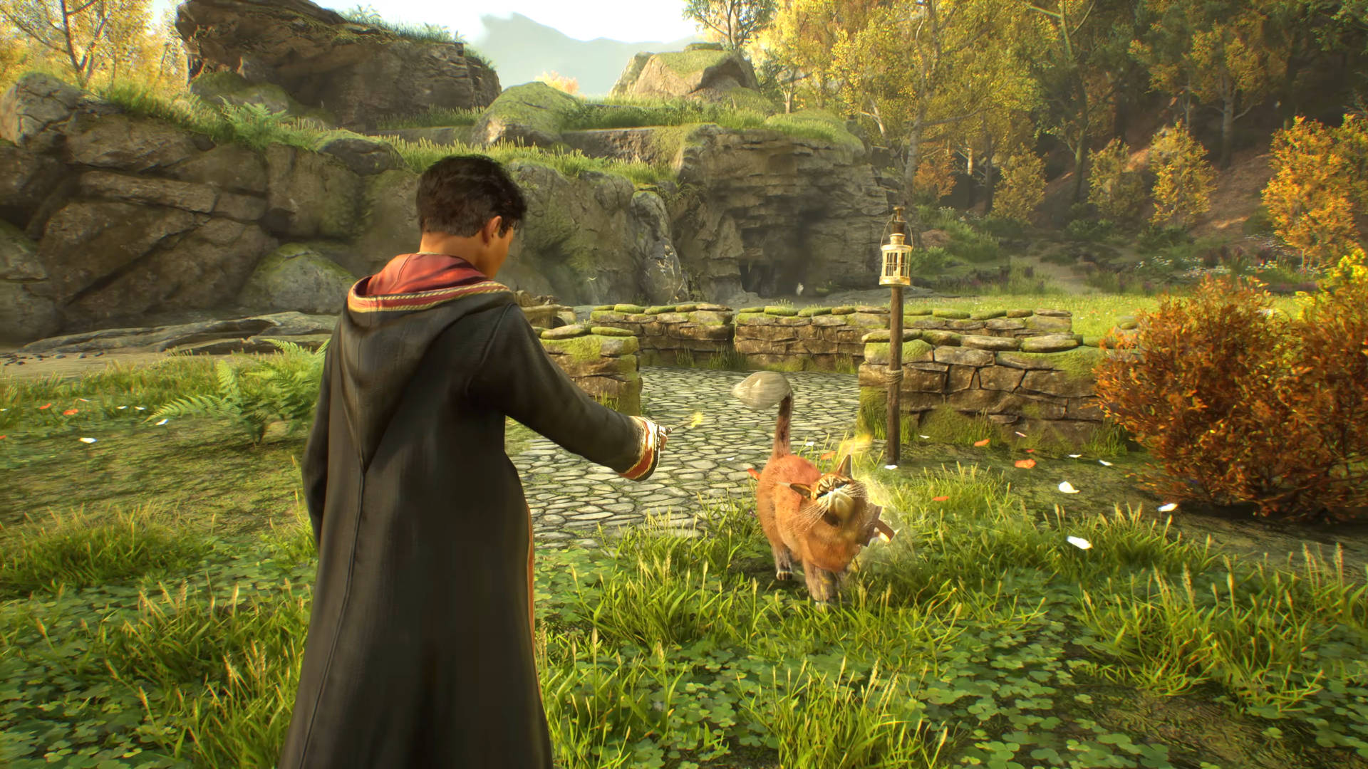 All Hogwarts Legacy beasts and where to