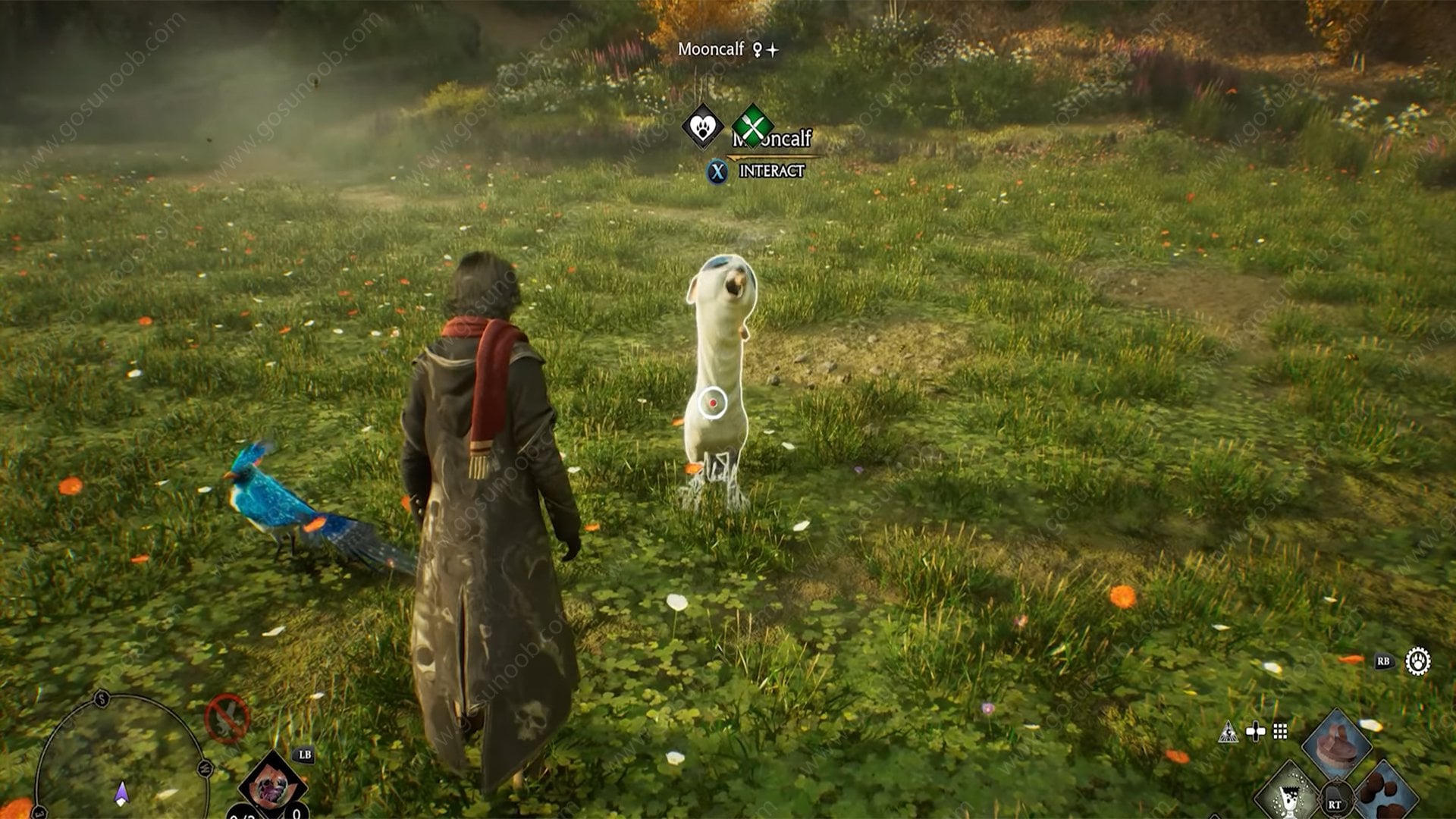 Hogwarts Legacy Shiny Beasts With Stars