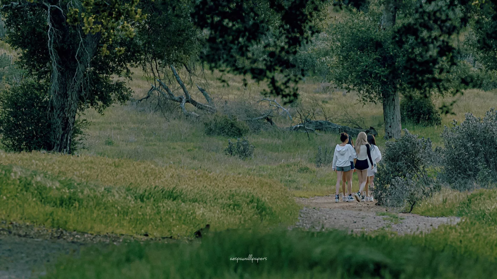 aespa Wallpaper Welcome