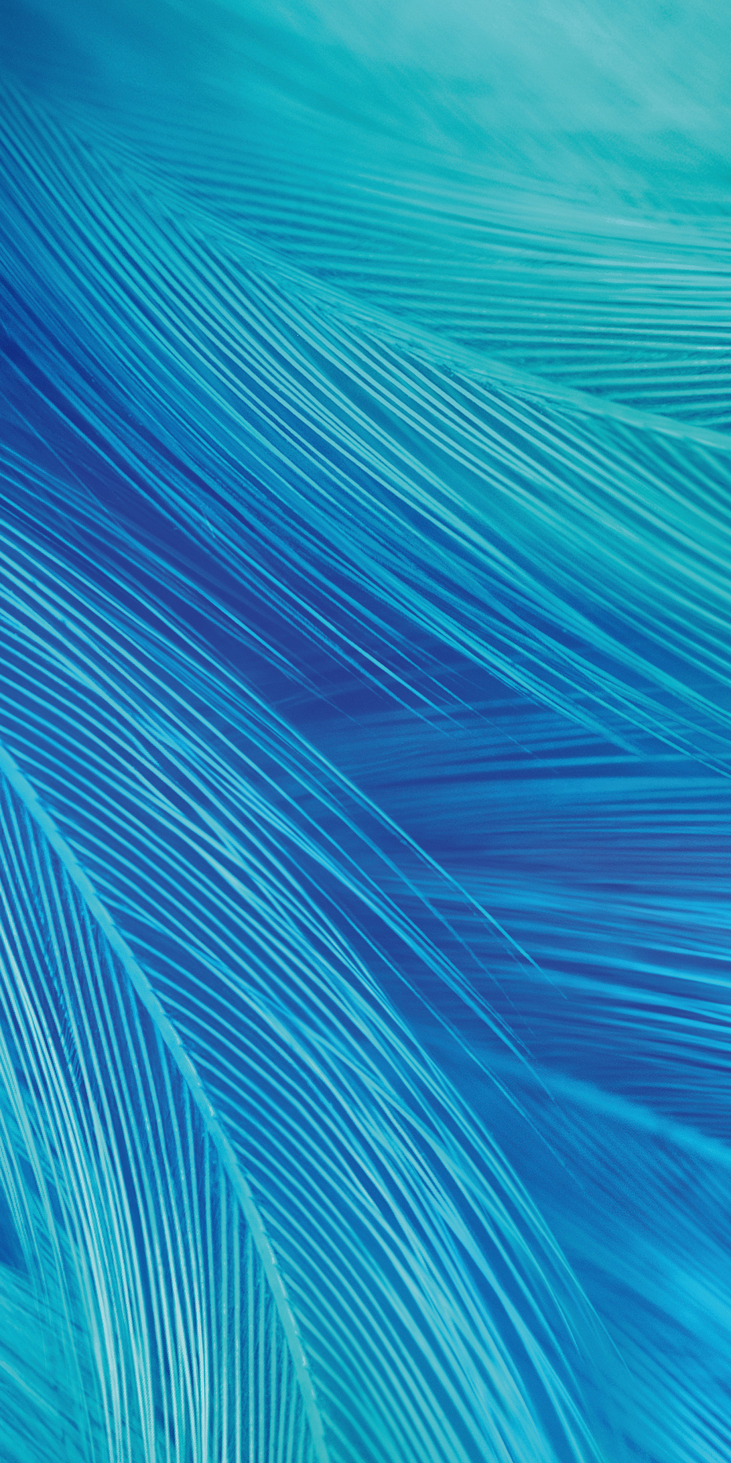 Download wallpaper 1440x2880 vivo x27