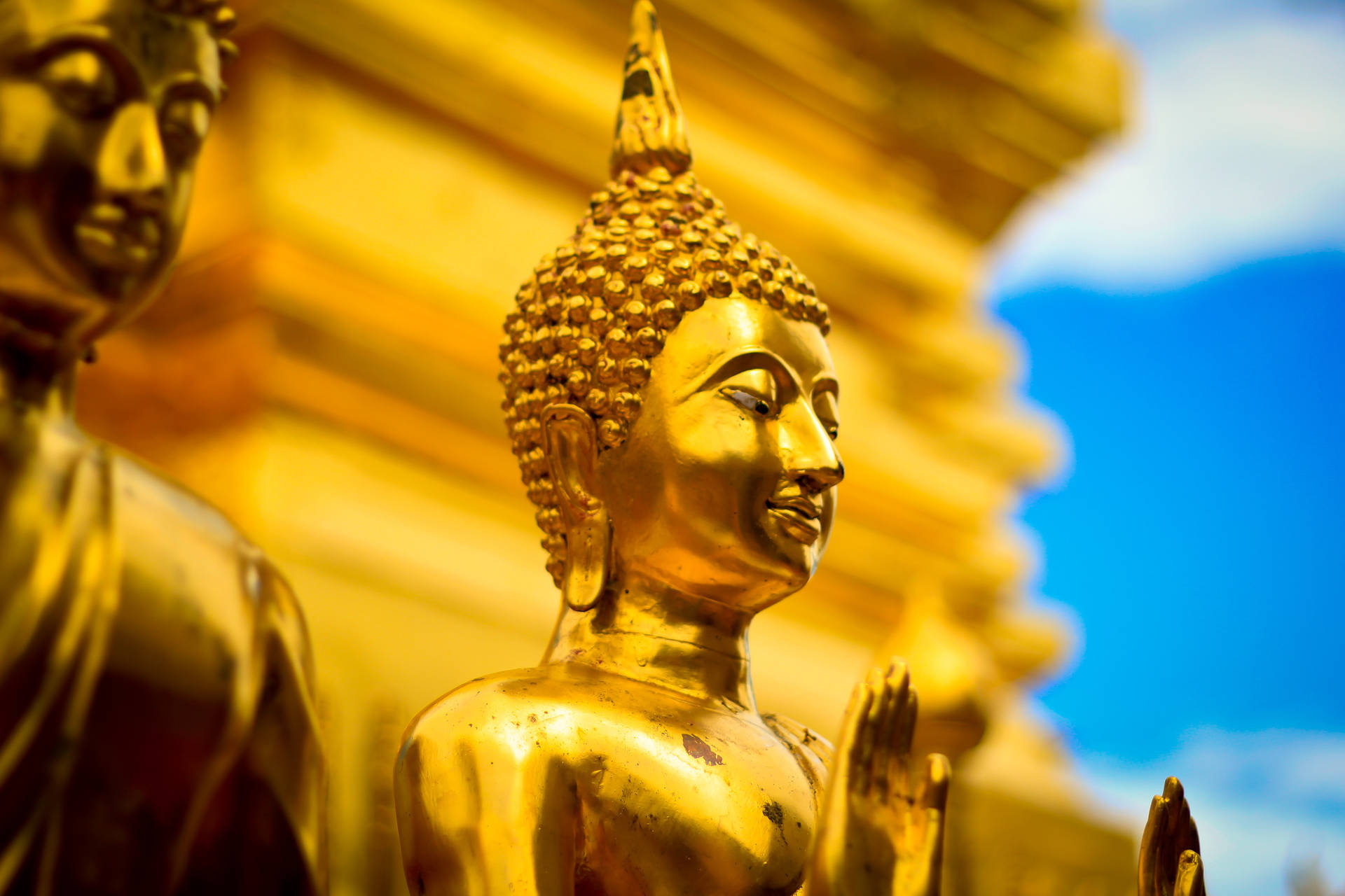 Golden Buddha Statues Background