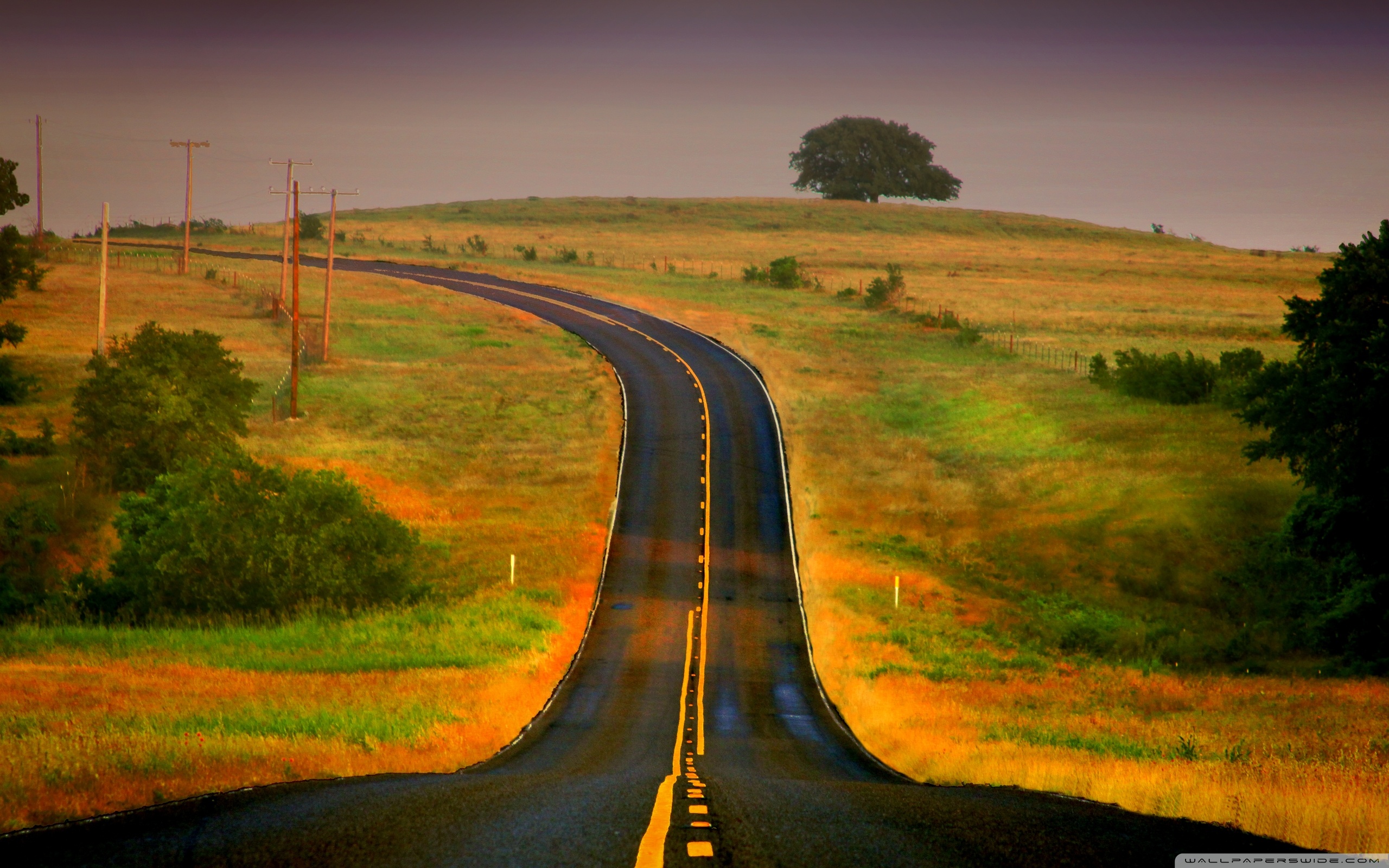 Curved Road Ultra HD Desktop Background