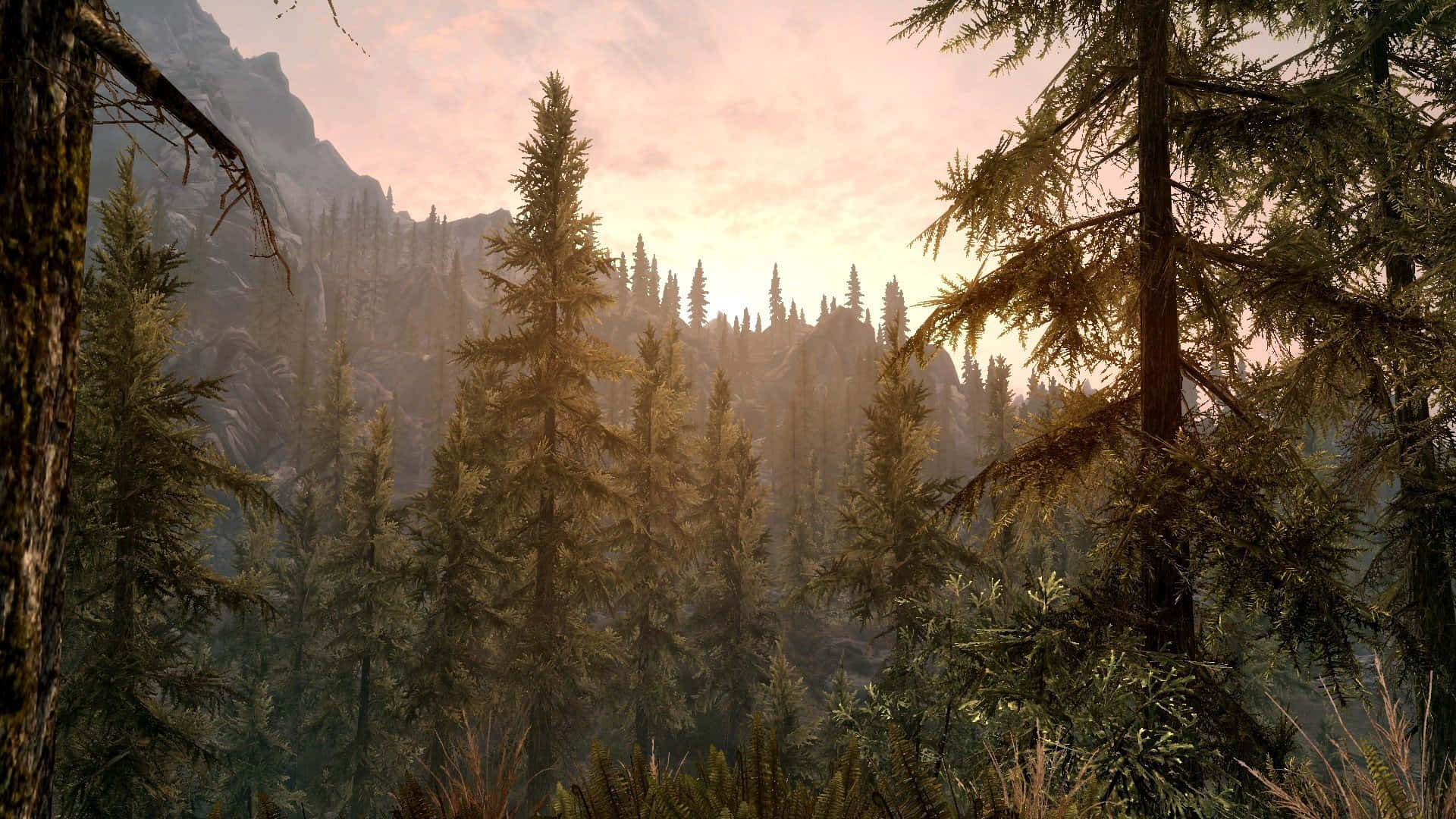 Skyrim landscape at dawn