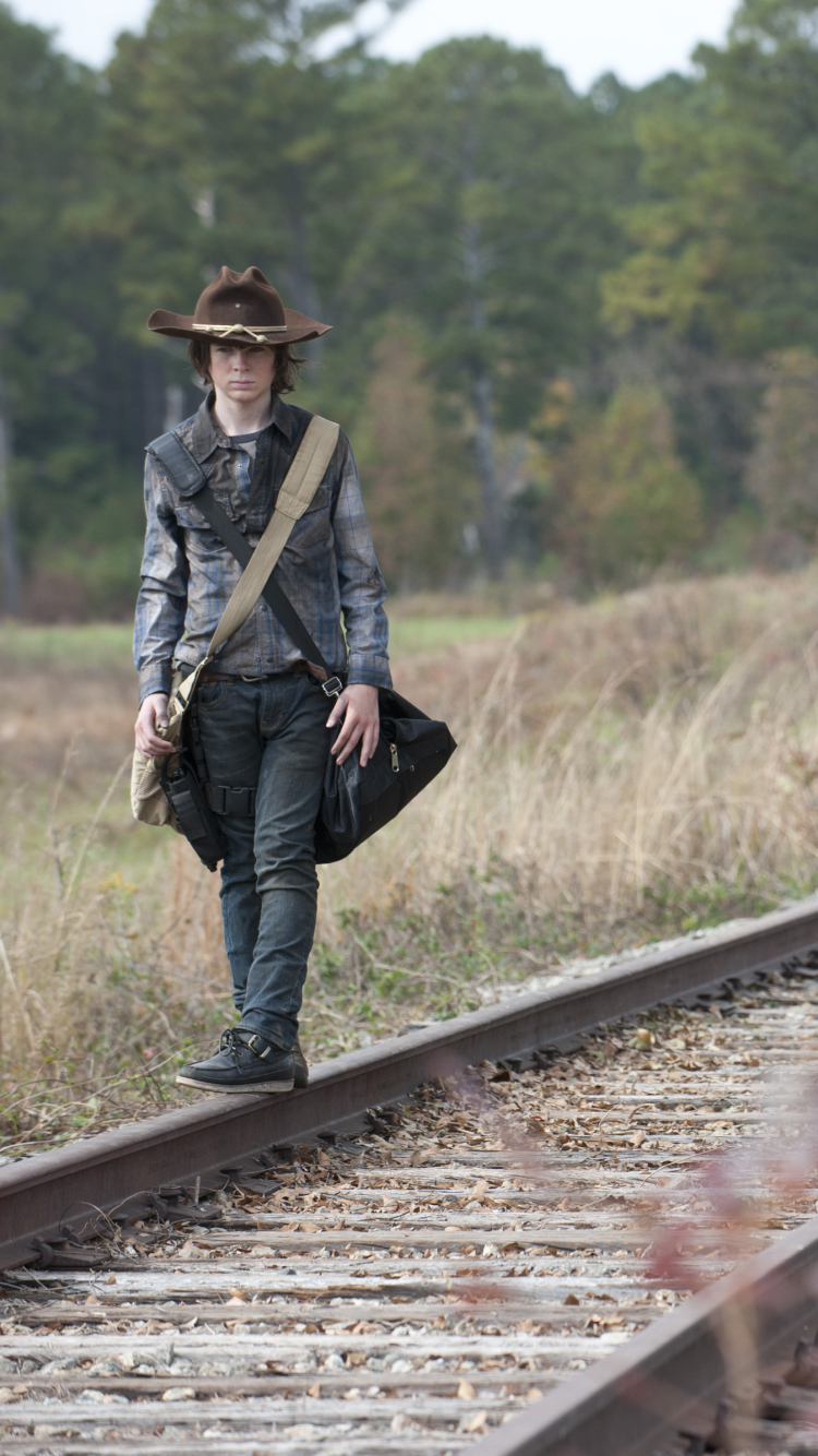 Carl Grimes, Michonne The Walking Dead