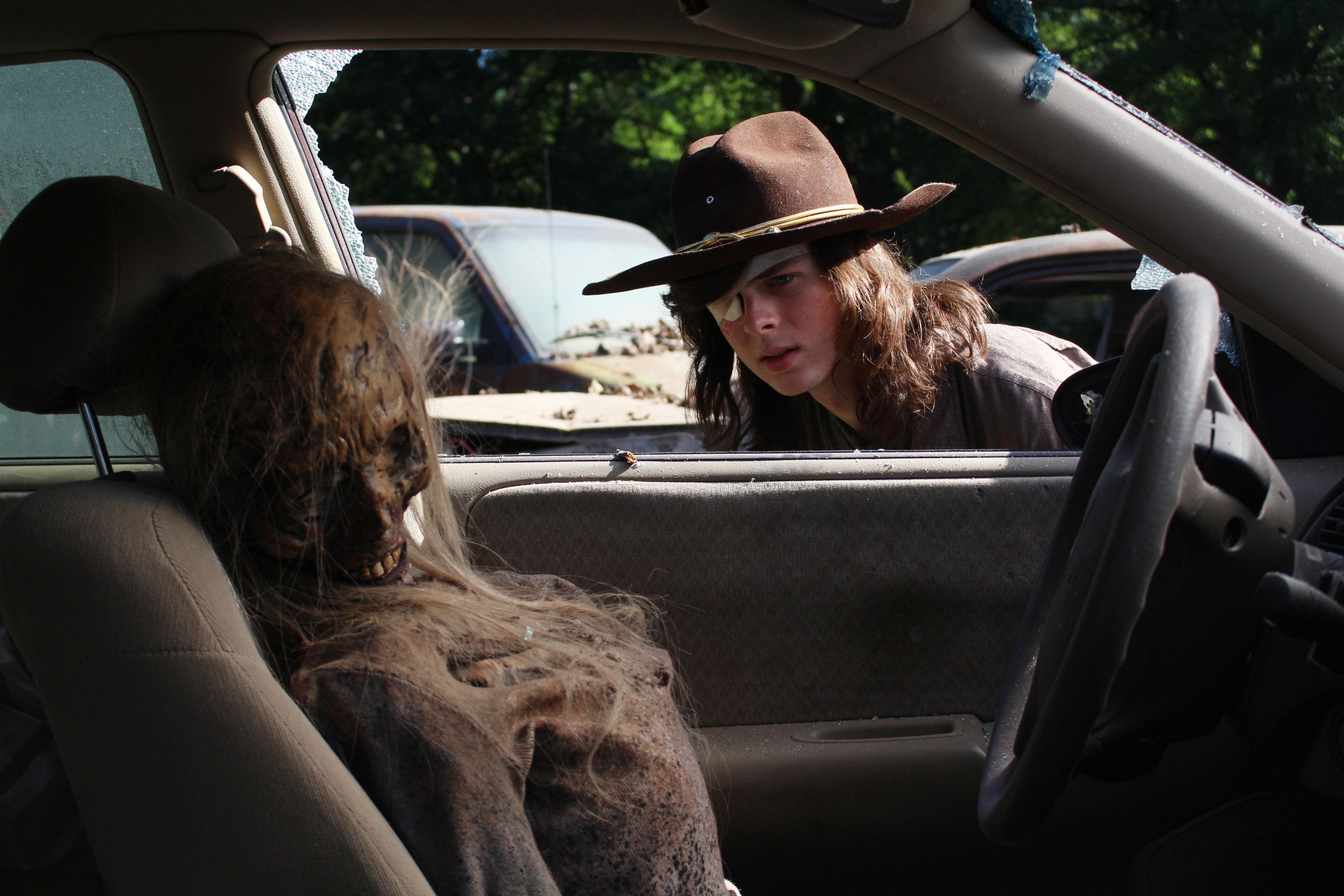 Tv Show, The Walking Dead, Carl Grimes
