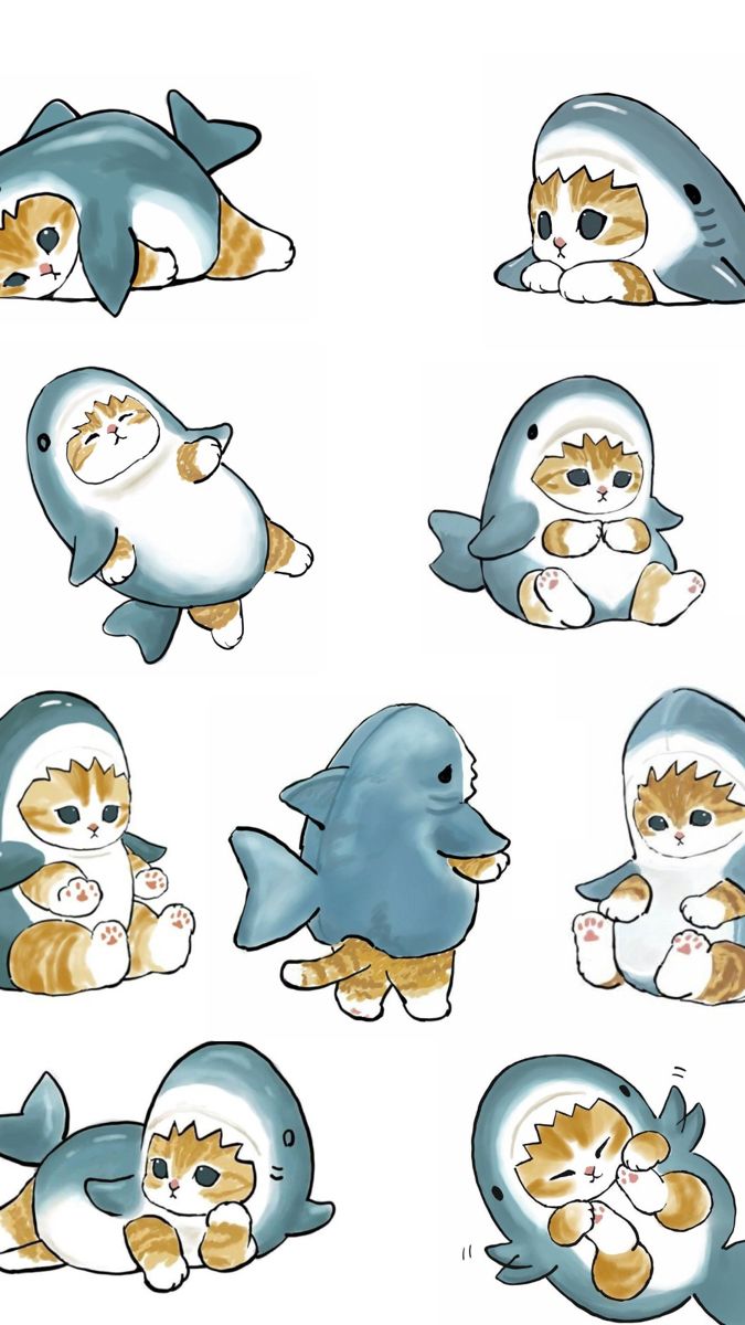 shark cat wallpaper. Kitten drawing