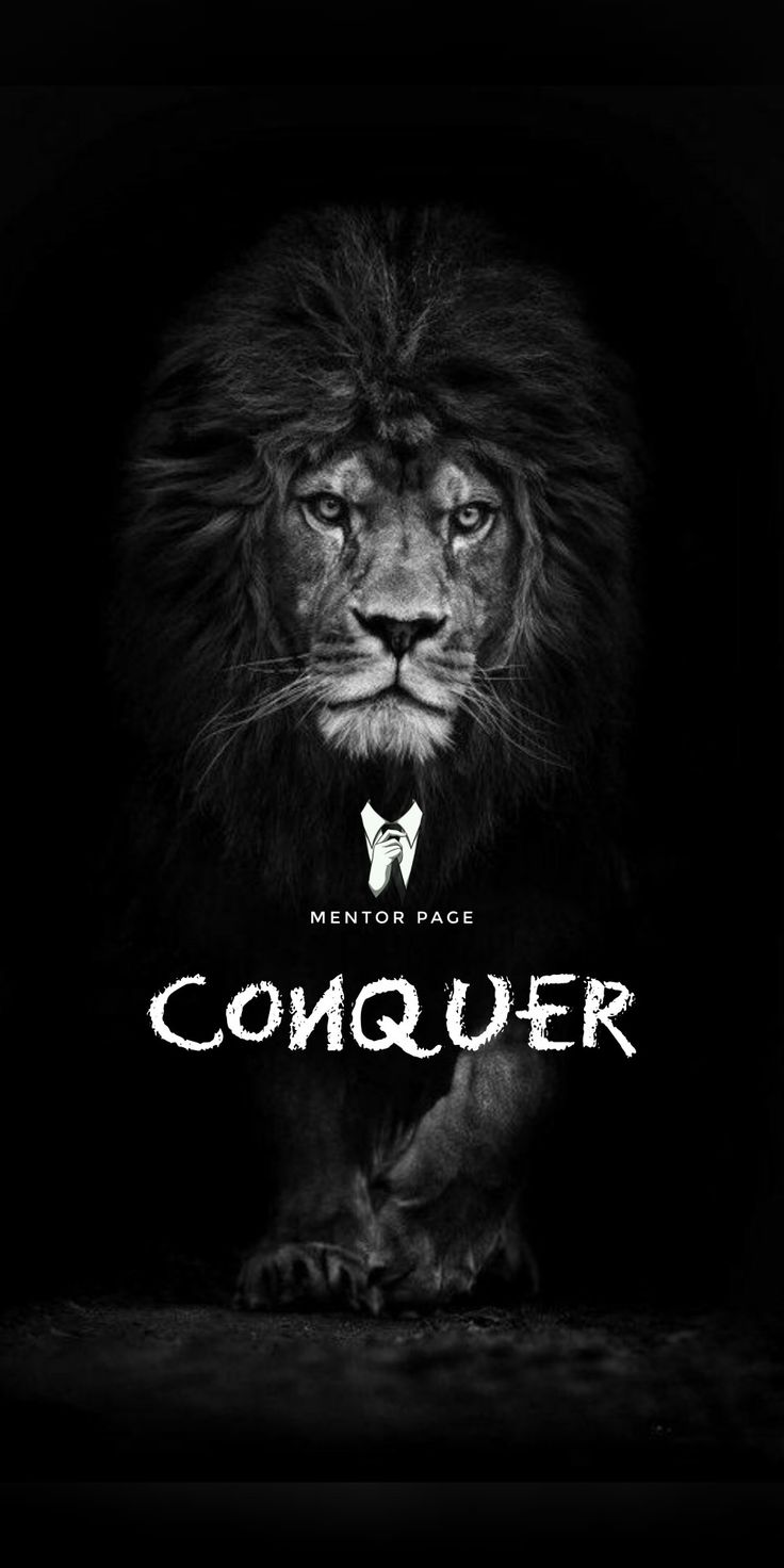 Lion wallpaper, Warrior quotes, Conquer