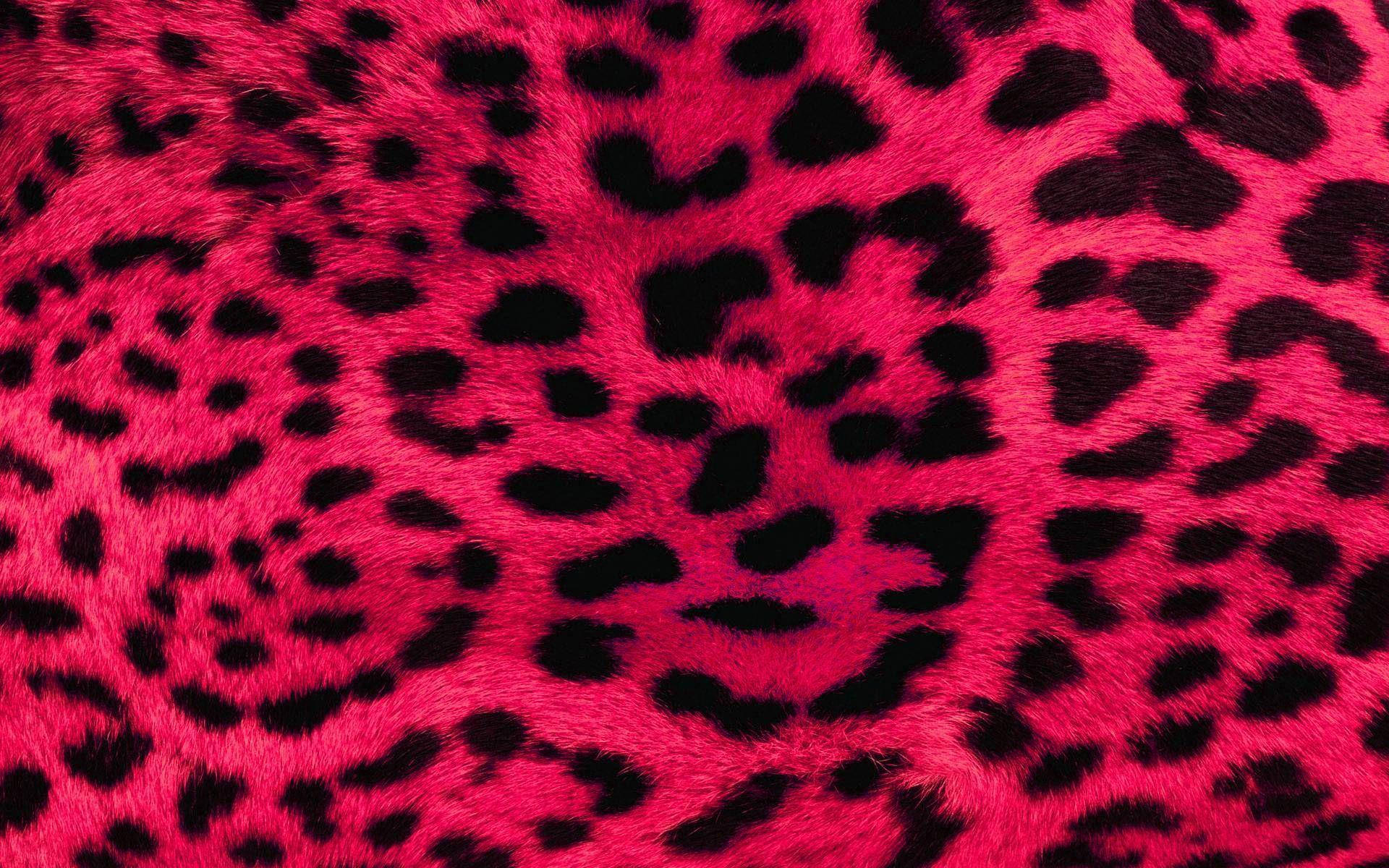 Free Cheetah Print HD Wallpaper