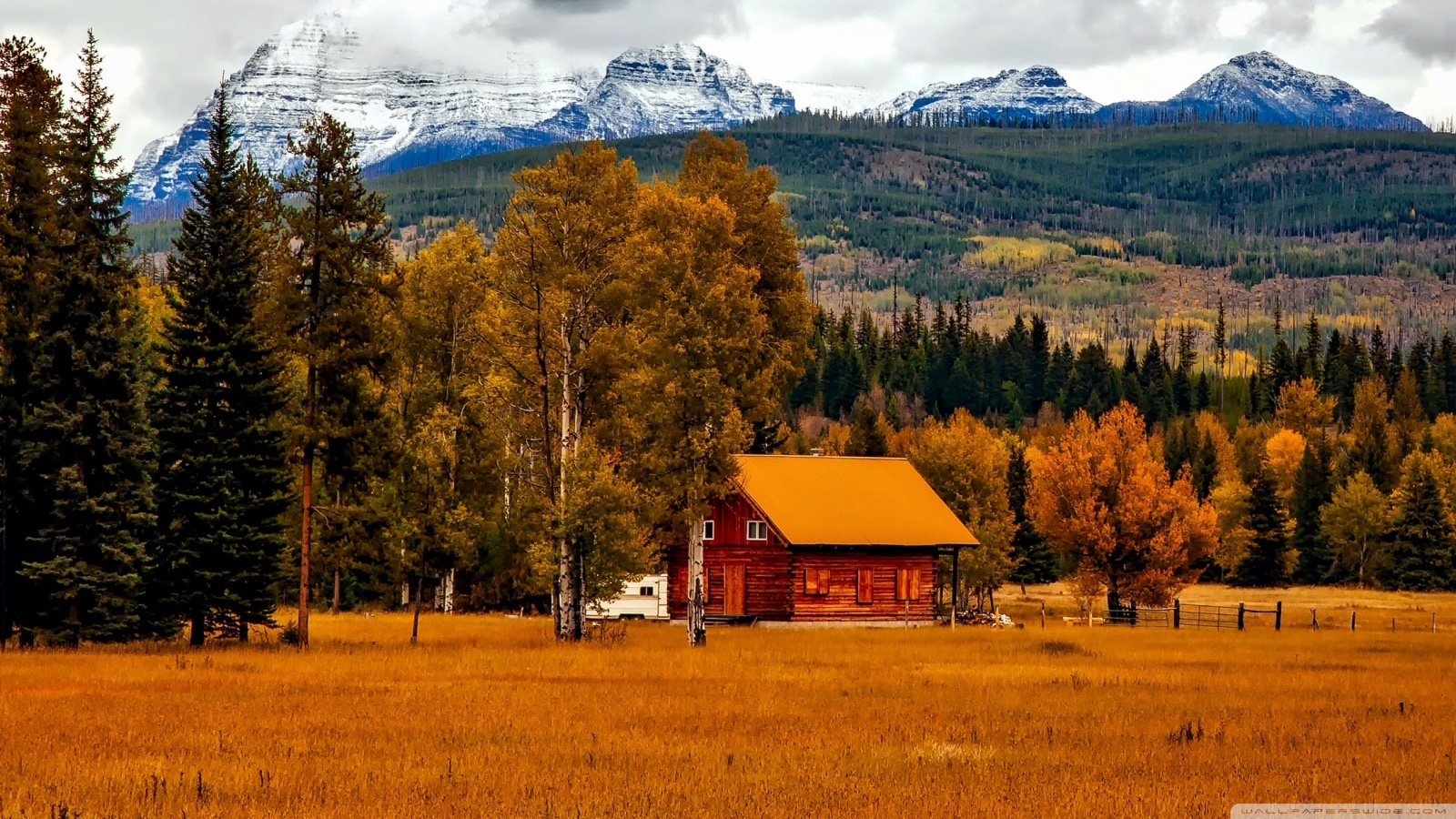 Autumn in Colorado Ultra HD Desktop