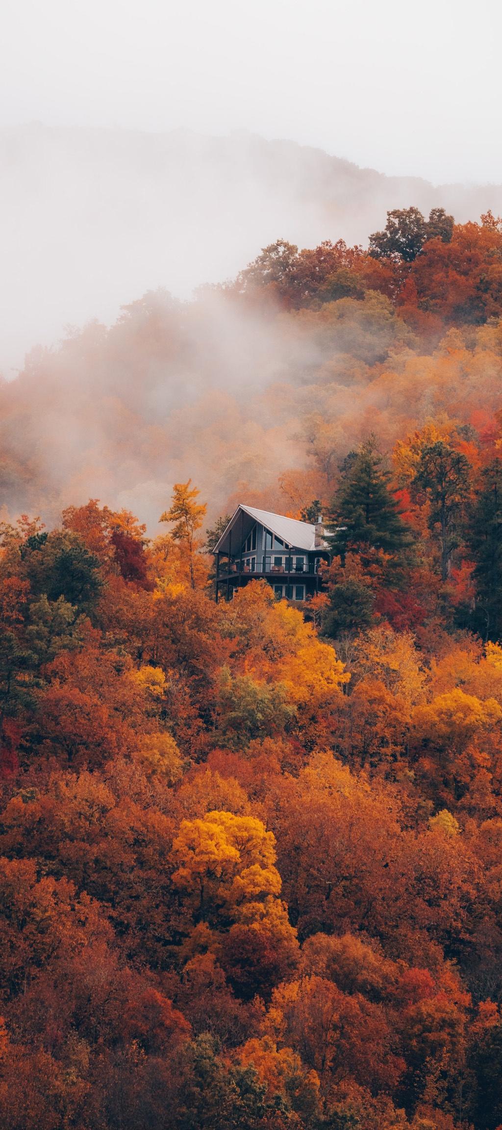 Autumn Fall Wallpaper 2023 HD APK