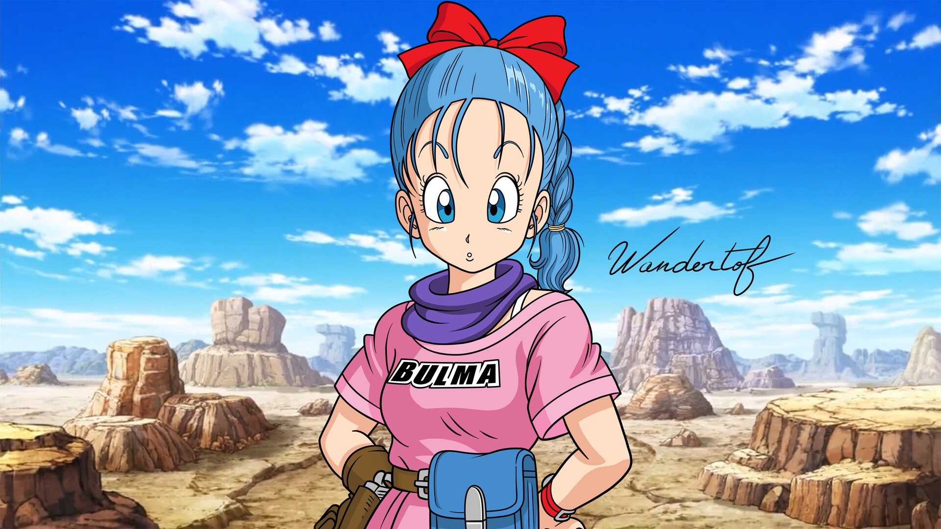 wandertof Ball Z Bulma