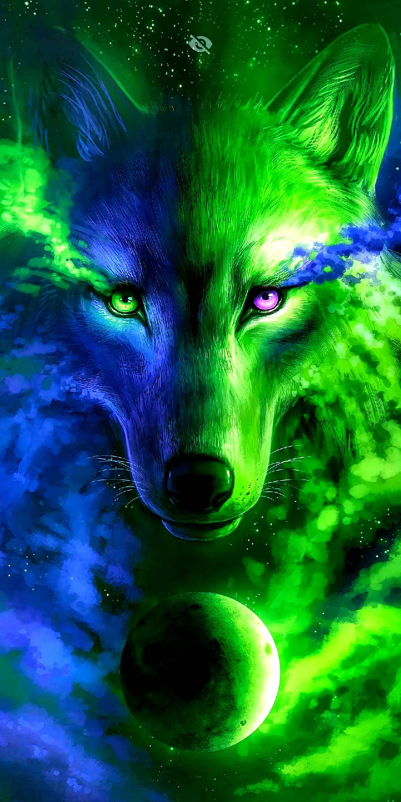 Free Wolf HD Wallpaper