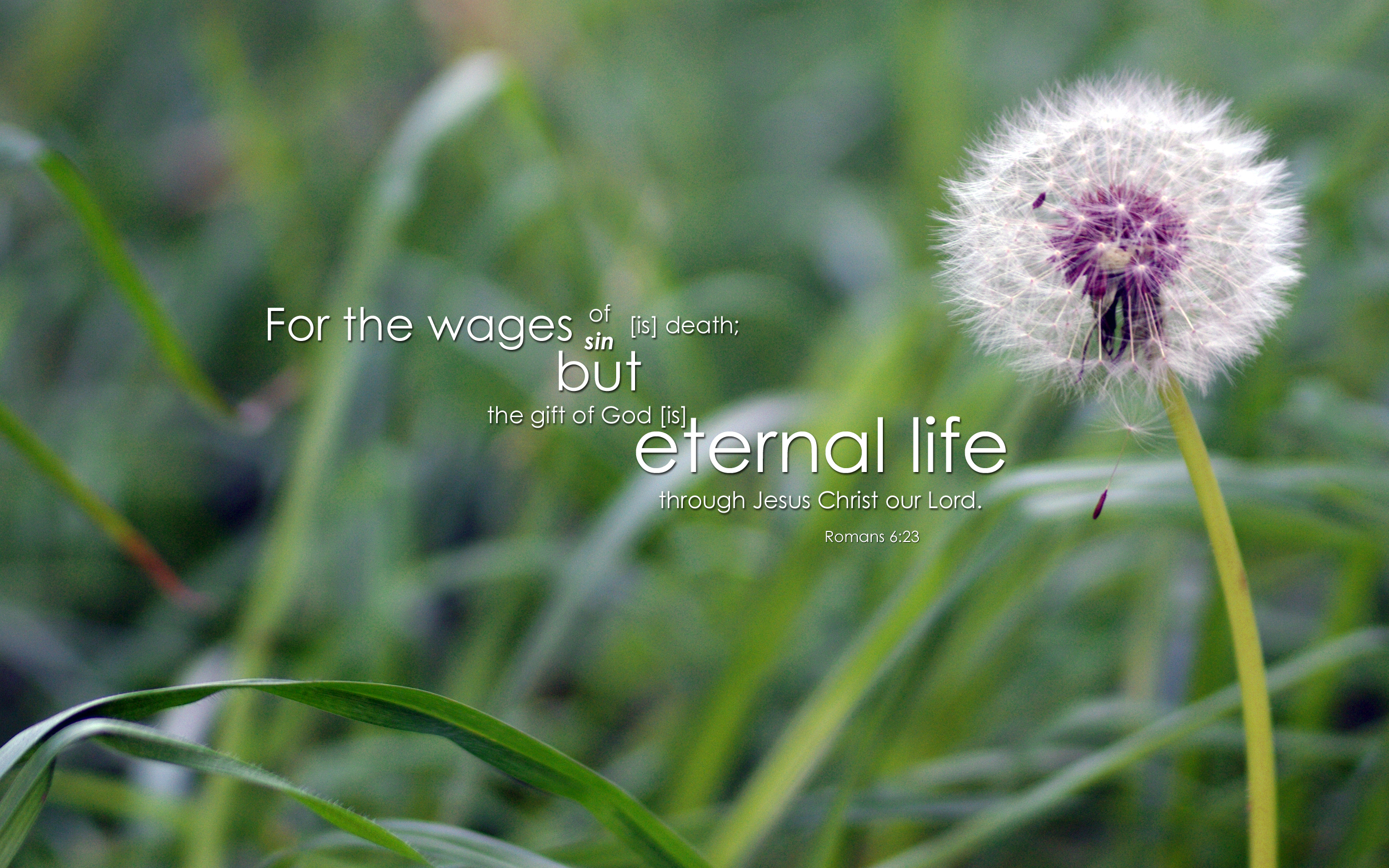 Free Nature & Bible Desktop Background