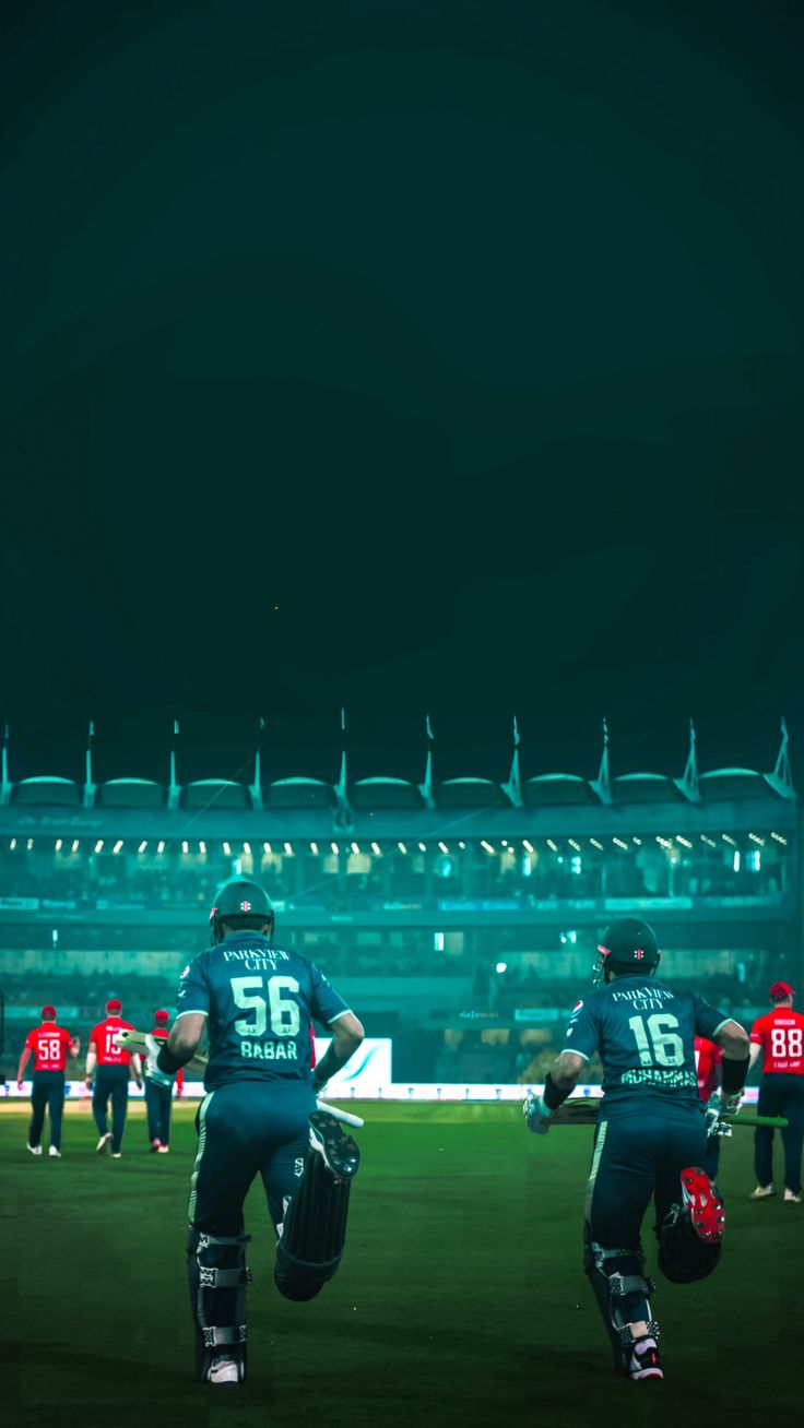 Pin su Pakistan Cricket Team