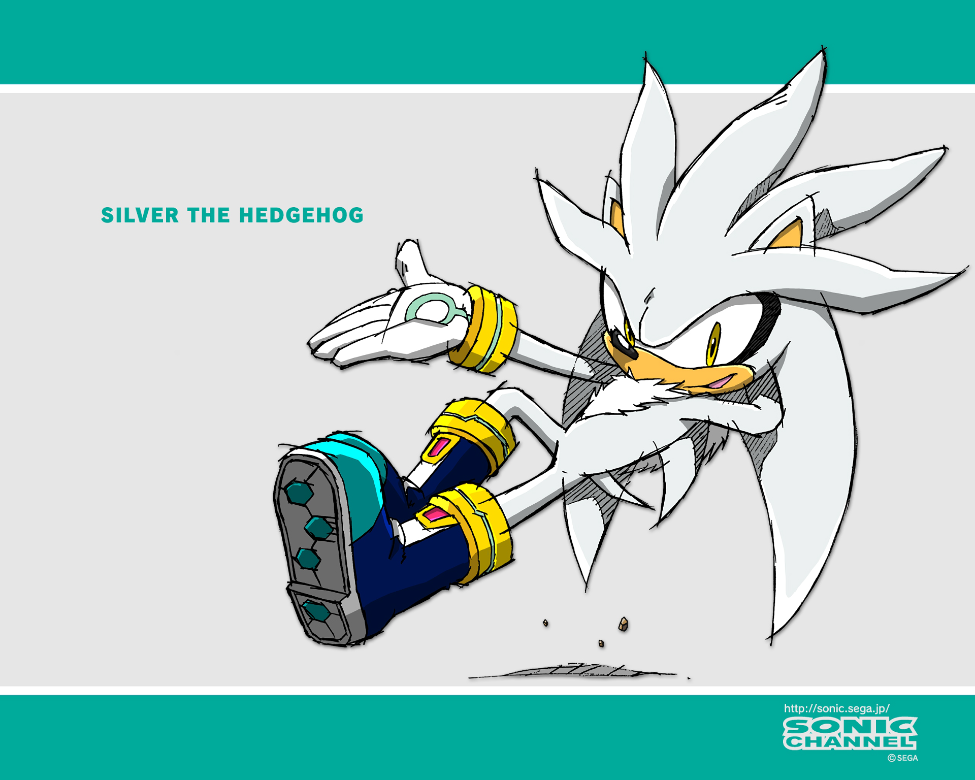 Silver The Hedgehog Wallpaper