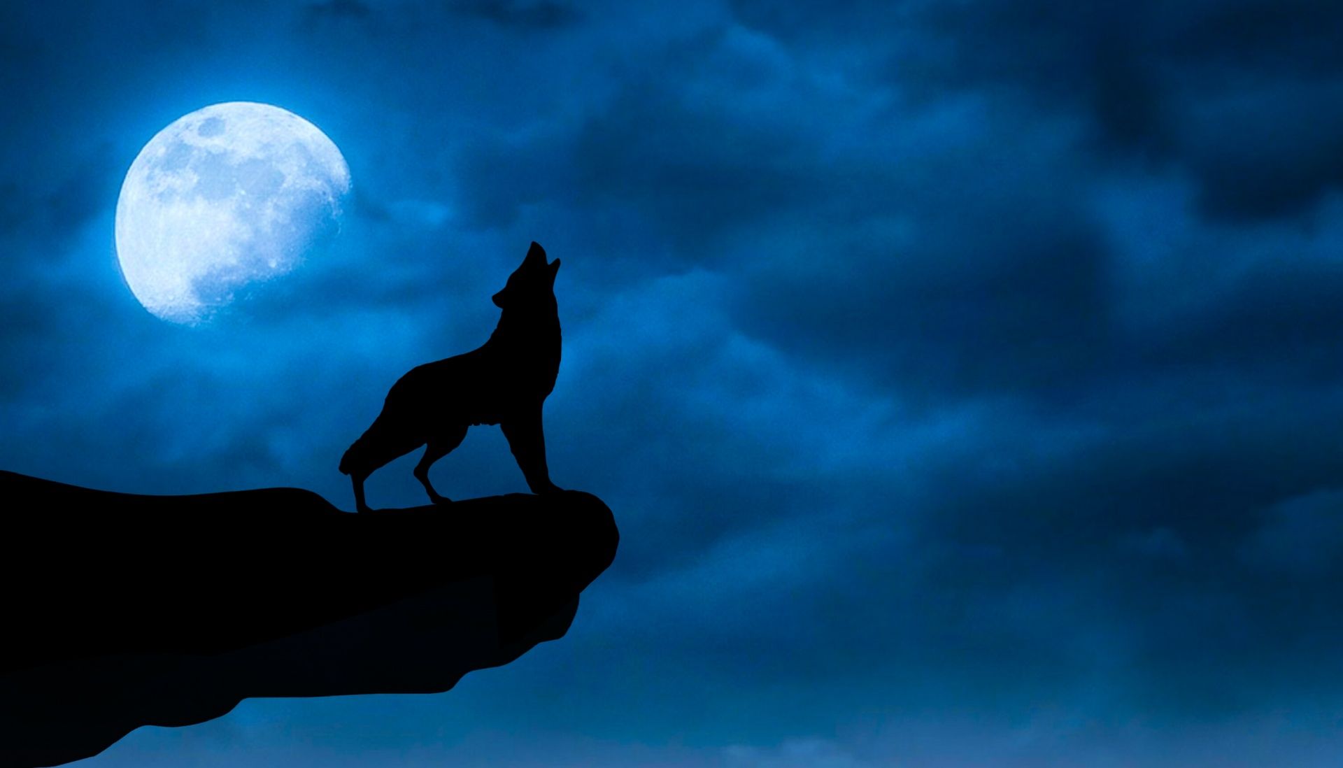 Wolf wallpaper, Wolf image, Wolf photo