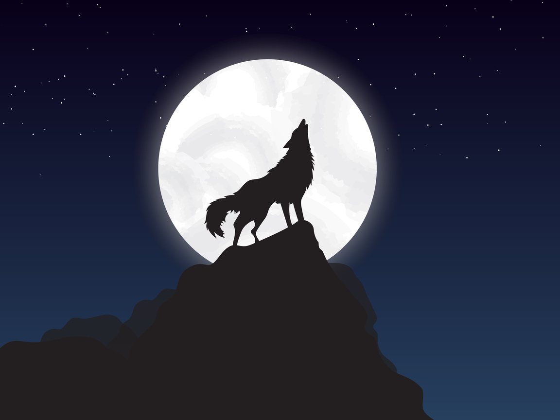 Wolf Howling Night