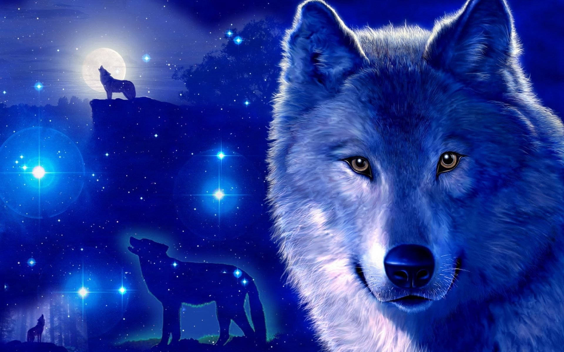 Galaxy Wolf Wallpaper