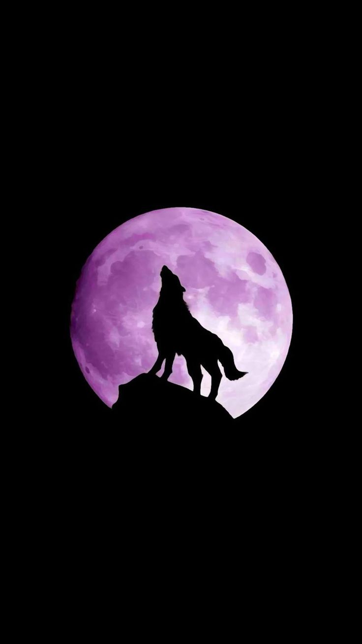 wolf, moon, night. Wolf drawing, Wolf