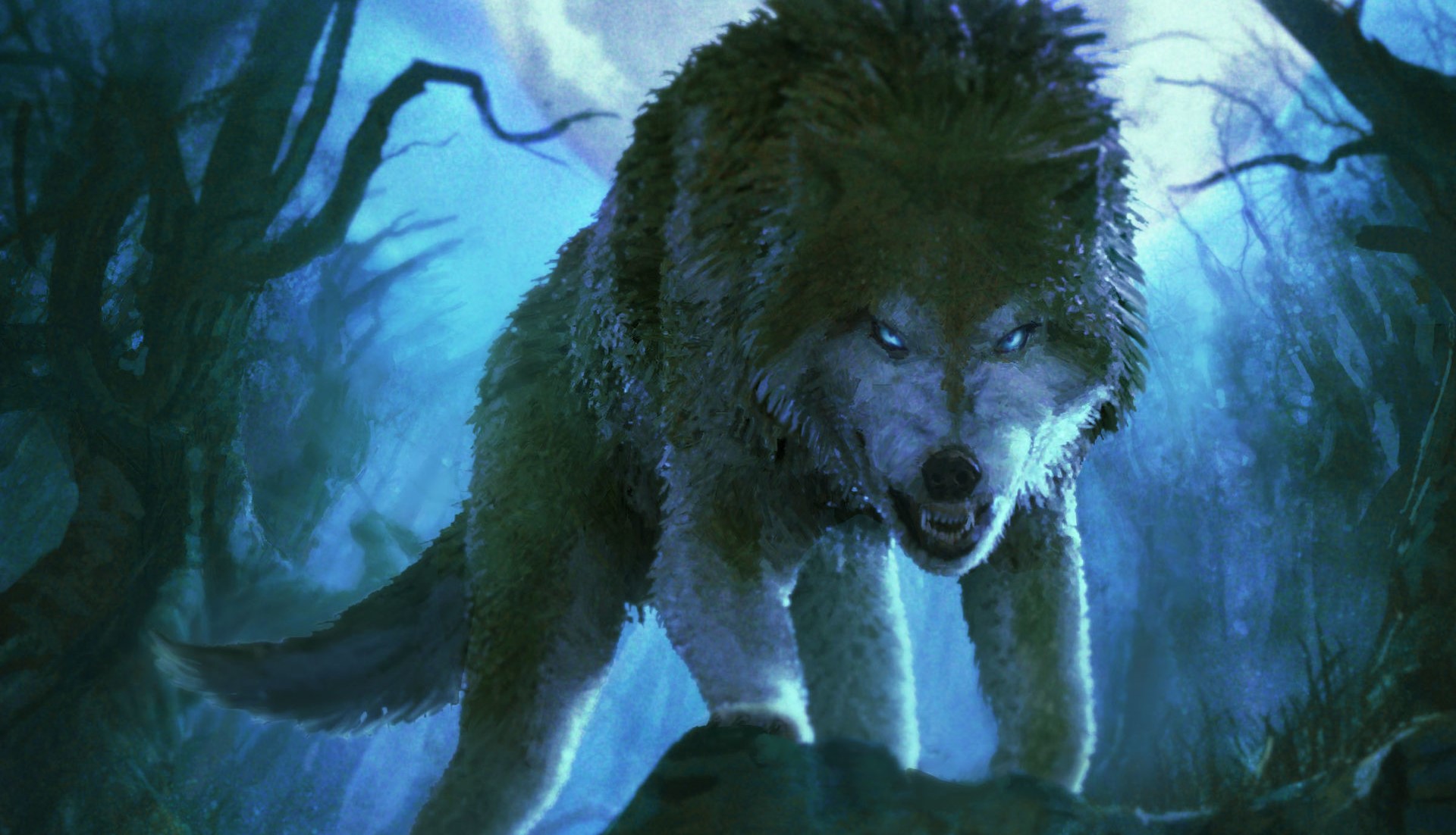 Night Snarl Fantasy Wolf HD Wallpaper