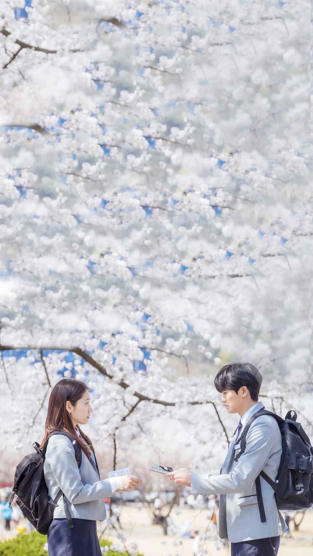 Wallpaper doctor slump. Korean