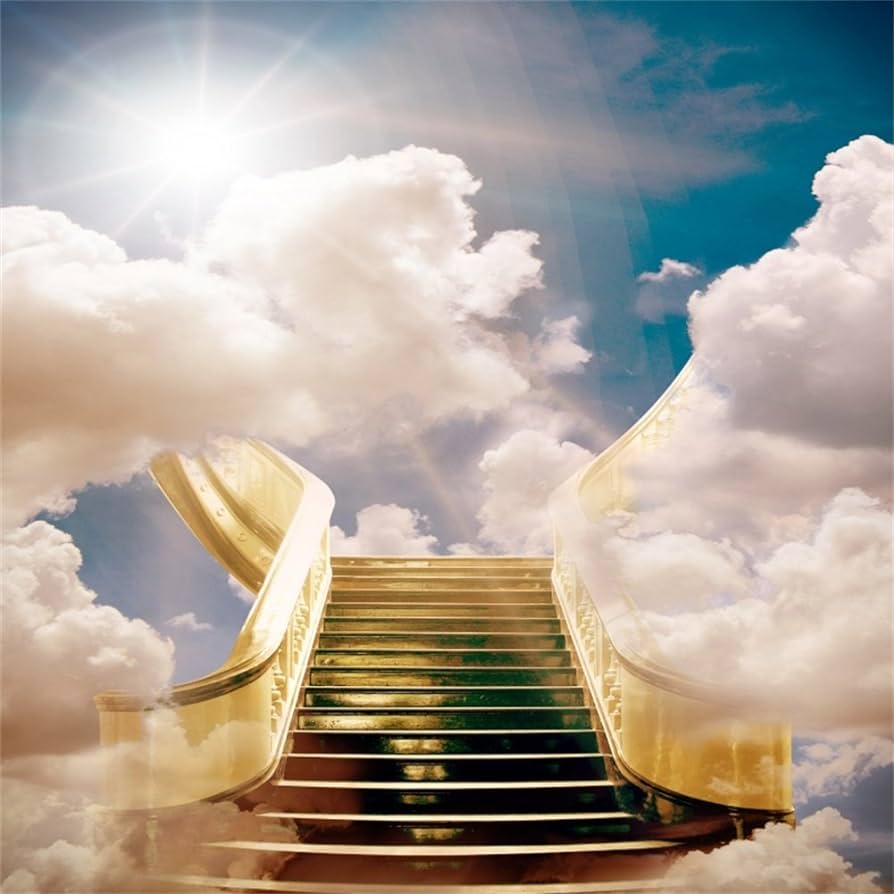 Amazon.com, AOFOTO 8x8ft Stairway to