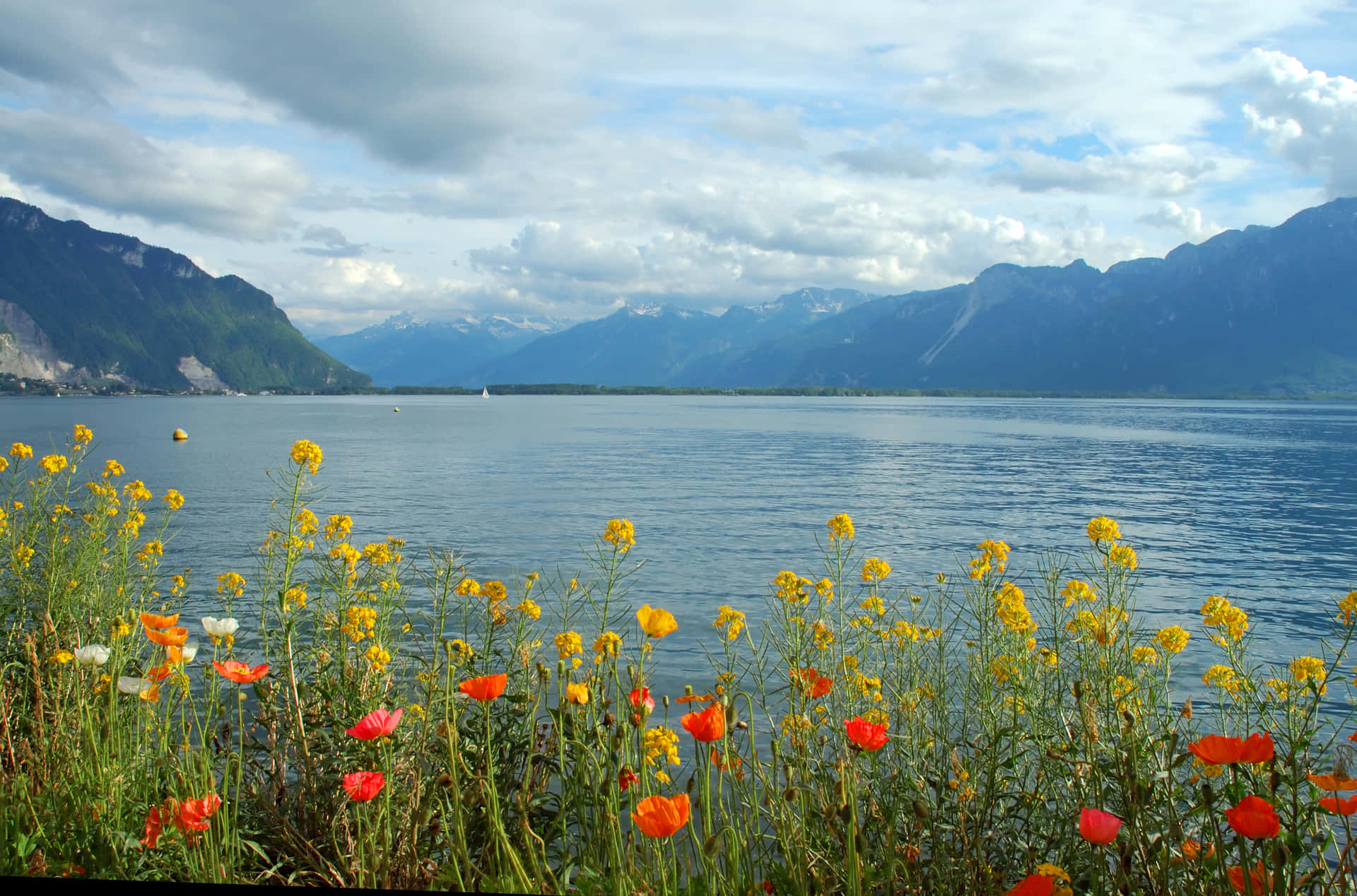 Download Lake Geneva Floral View