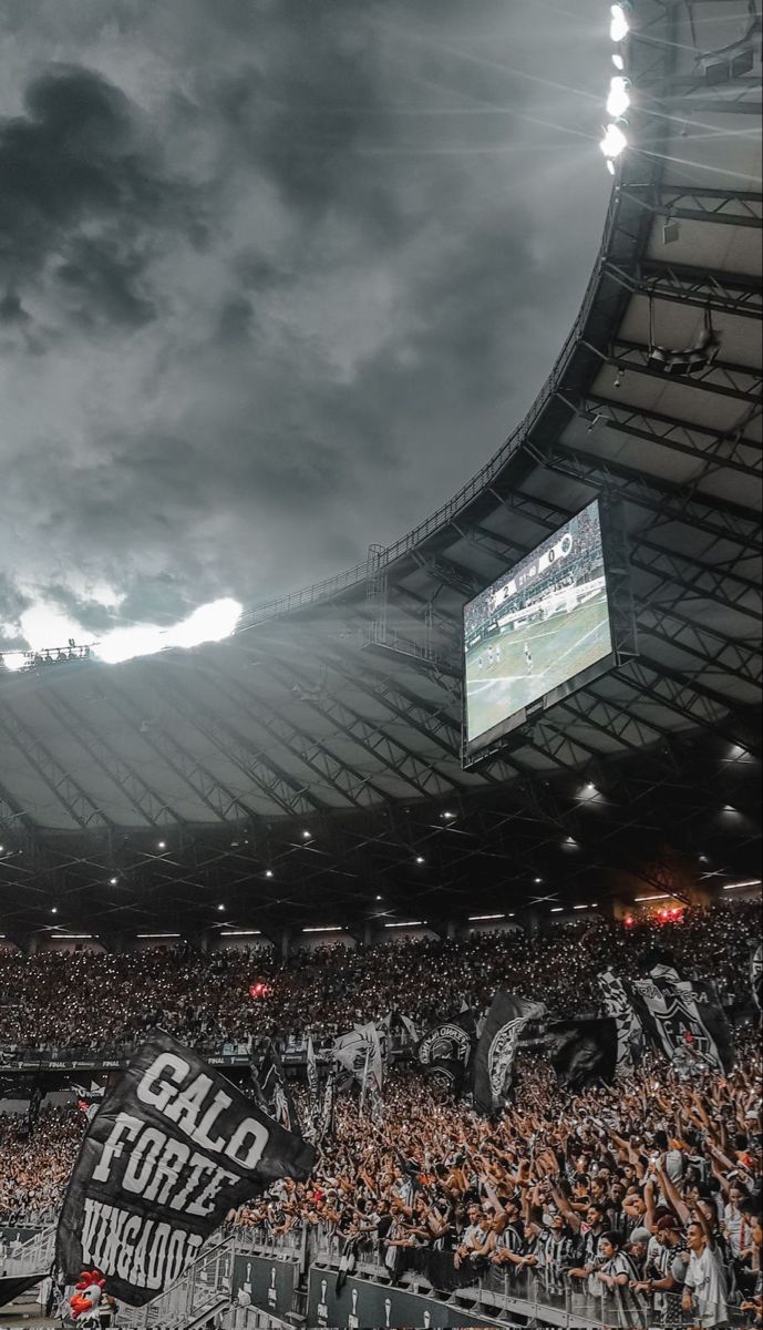 Atlético. Fotos do atlético mineiro