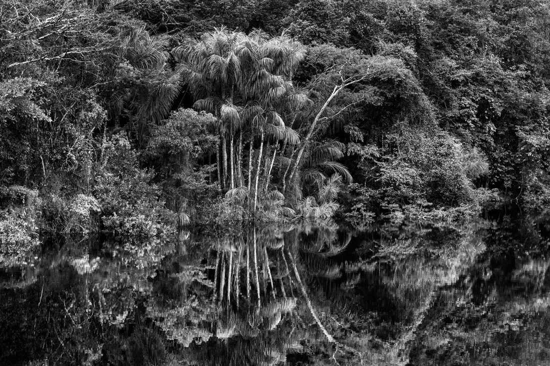 Salgado photographs life in the Amazon