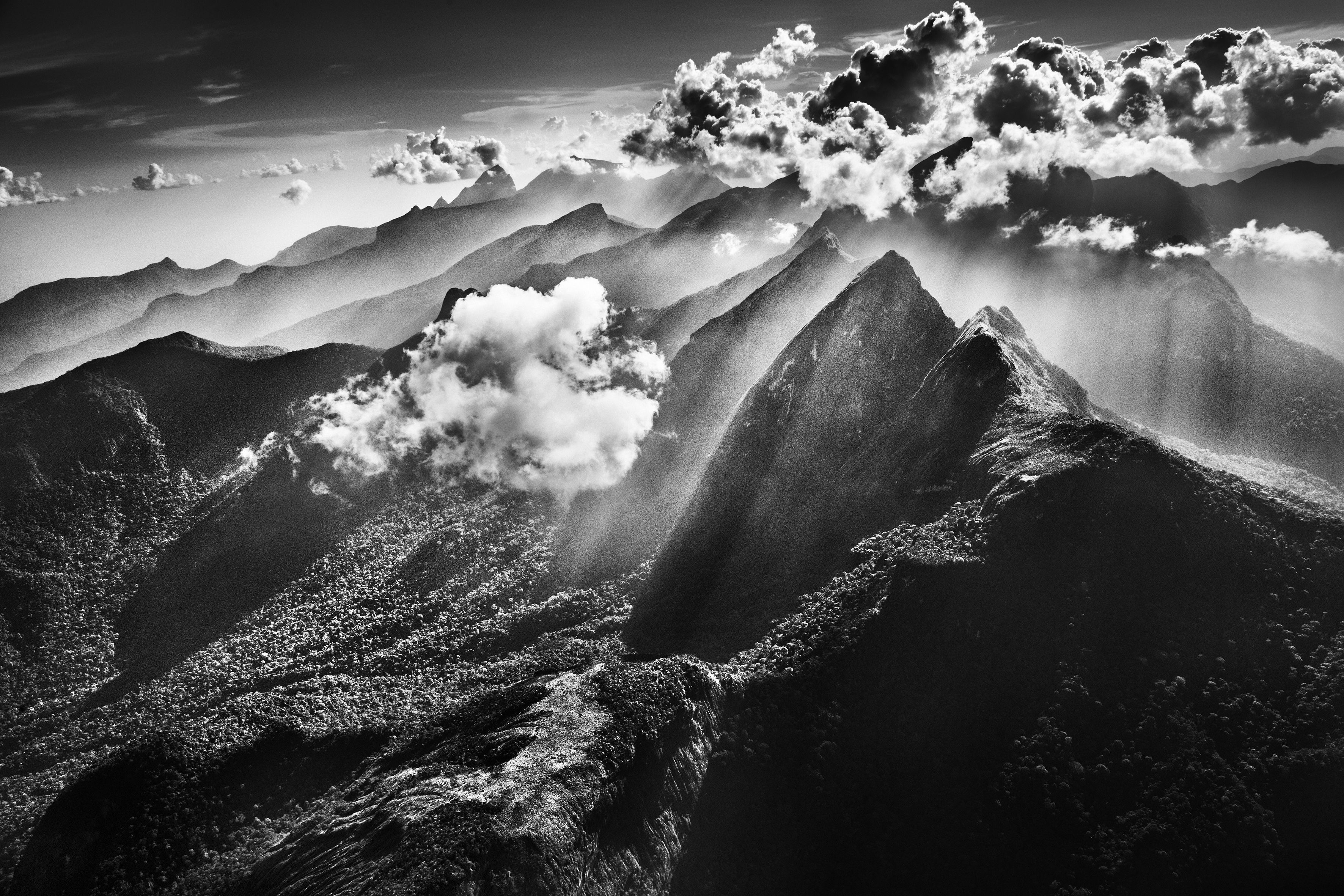 Photographer Sebastião Salgado