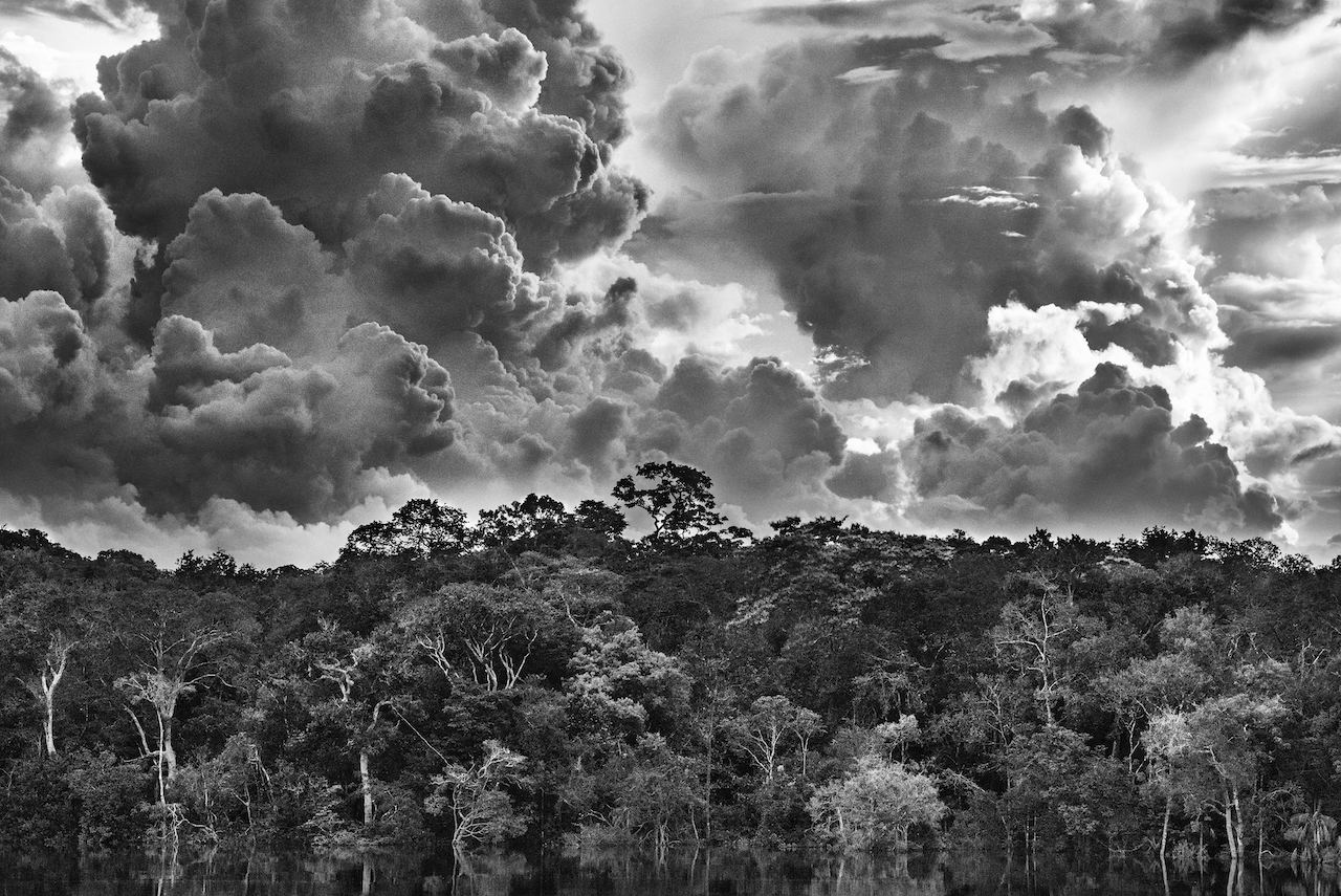 Salgado talks about climate change